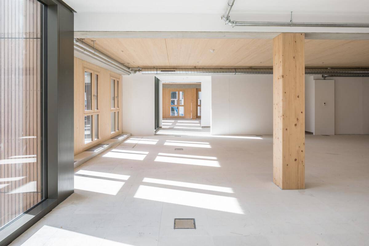 Geräumiger, heller Innenraum mit Holzelementen, Betonstützen und großen Fenstern, die viel Licht spenden.