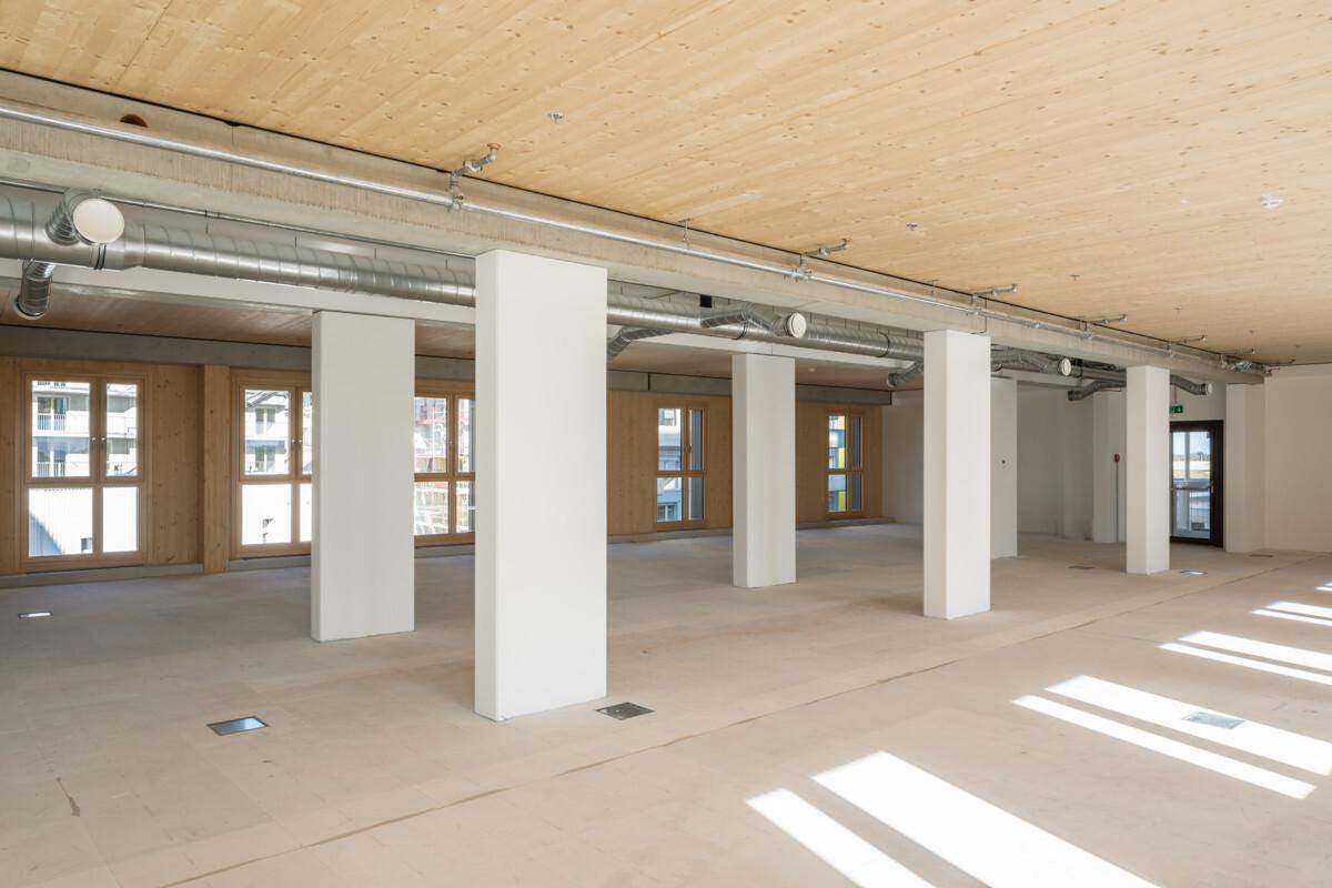 Weitläufiger, unmöblierter Raum mit weißen Säulen, Holzdecke und sichtbaren Installationen an der Decke.
