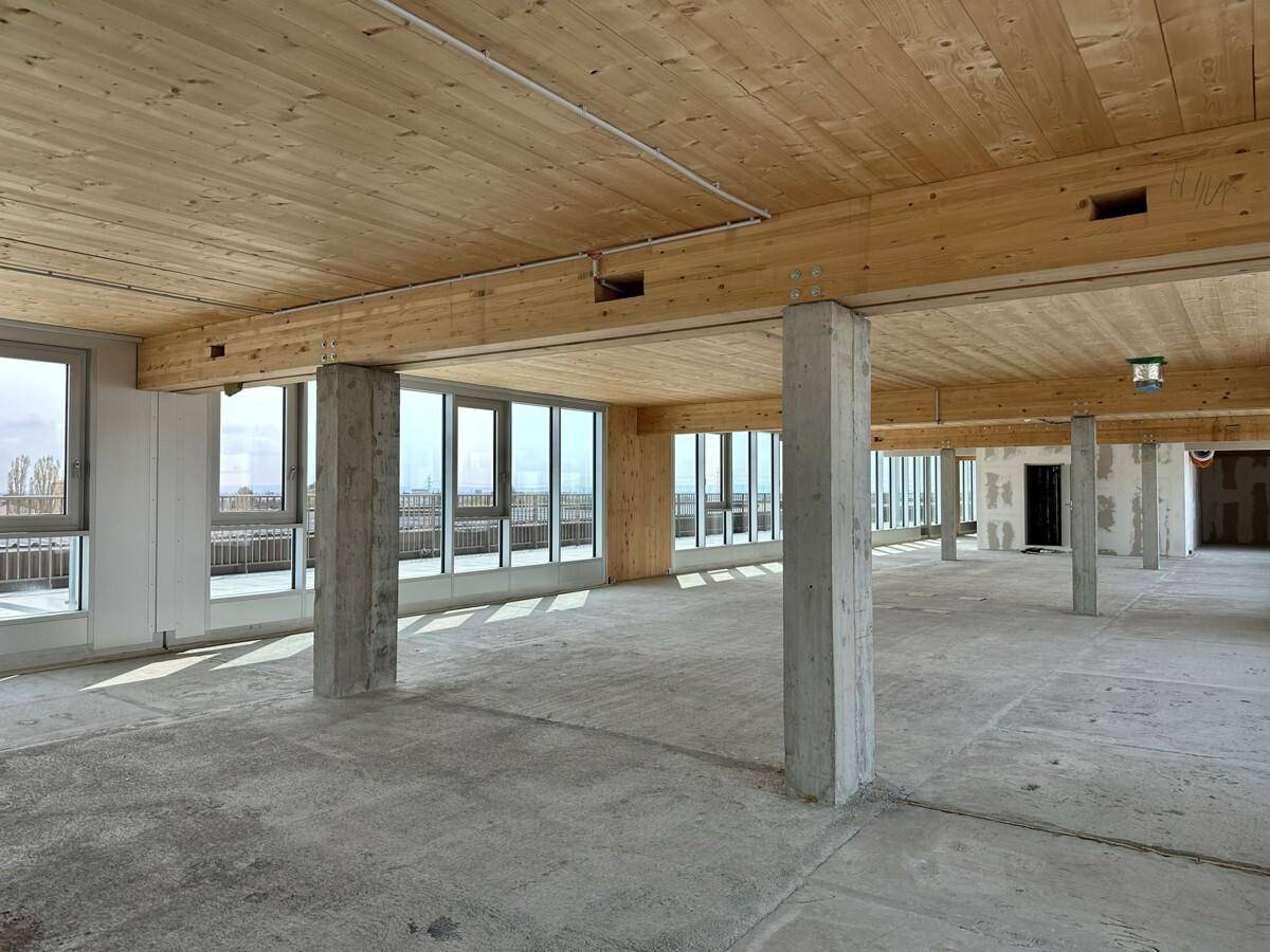 Großer, offener Büroraum im Rohbau mit Holzbalkendecke und weitem Ausblick durch die Fensterfront.