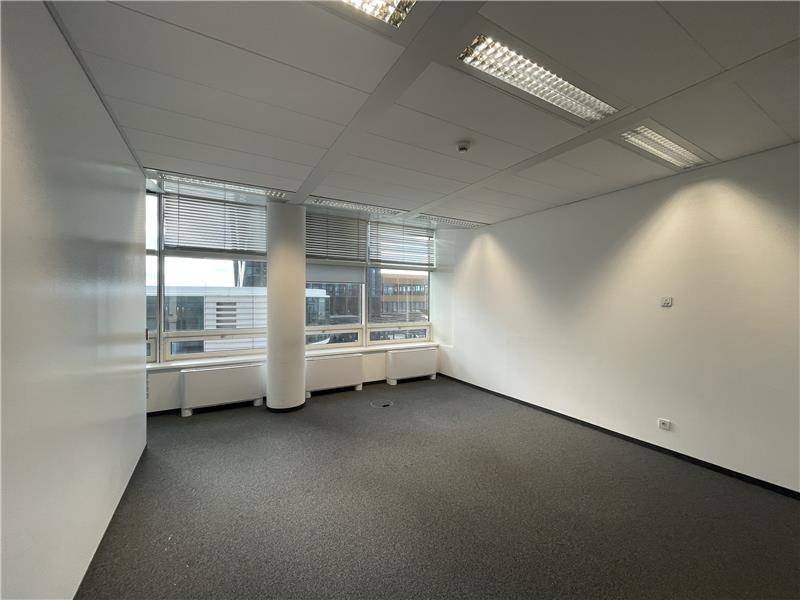 Helles, leeres Büro mit Teppichboden und einer Fensterfront, die für eine angenehme Arbeitsatmosphäre sorgt.