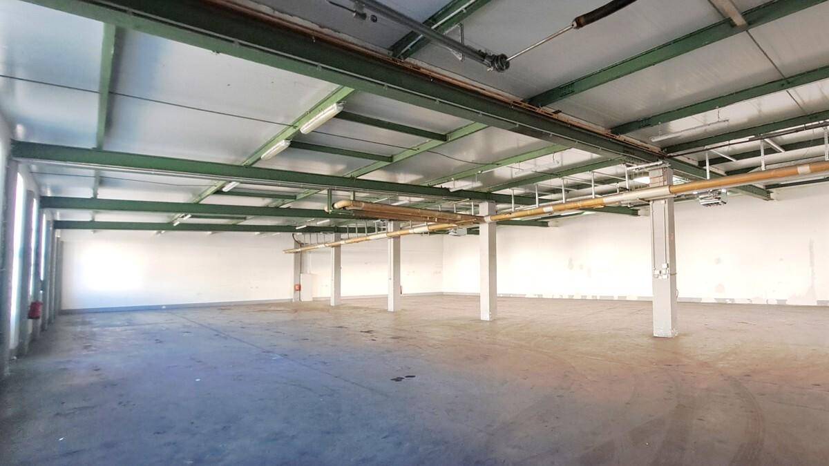 Lange, leere Lagerhalle mit Säulen, sichtbaren Trägern und viel natürlichem Lichteinfall von den Seiten.
