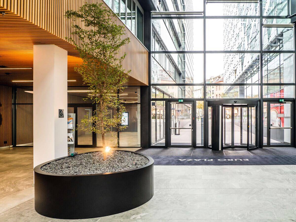 Heller Eingangsbereich mit modernen Pflanzenkübeln, Holzakzenten und großen Glasfronten, die viel Licht hereinlassen.