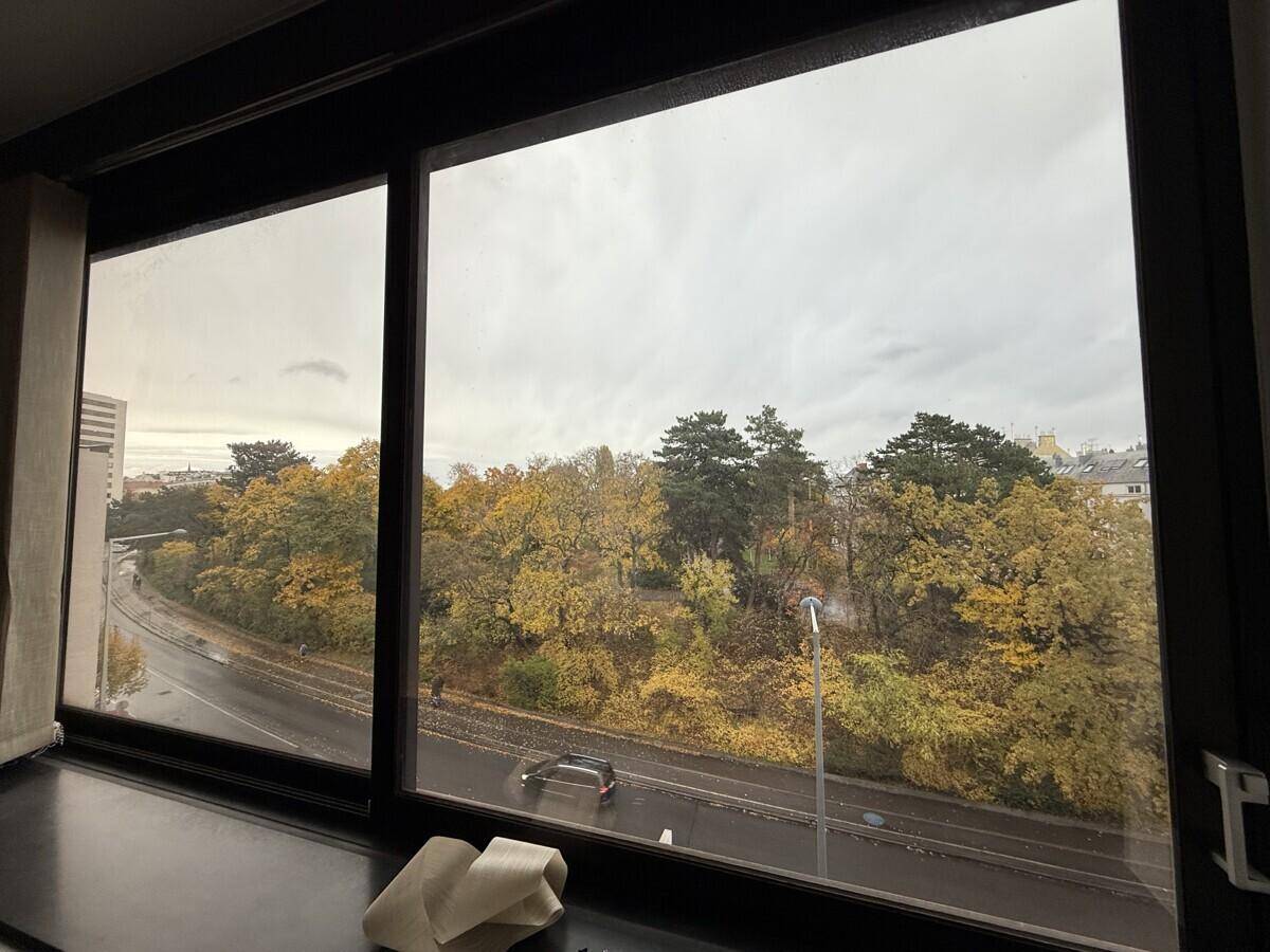 Ausblick aus einem Bürofenster auf eine grüne Allee mit Bäumen und einer Straße.