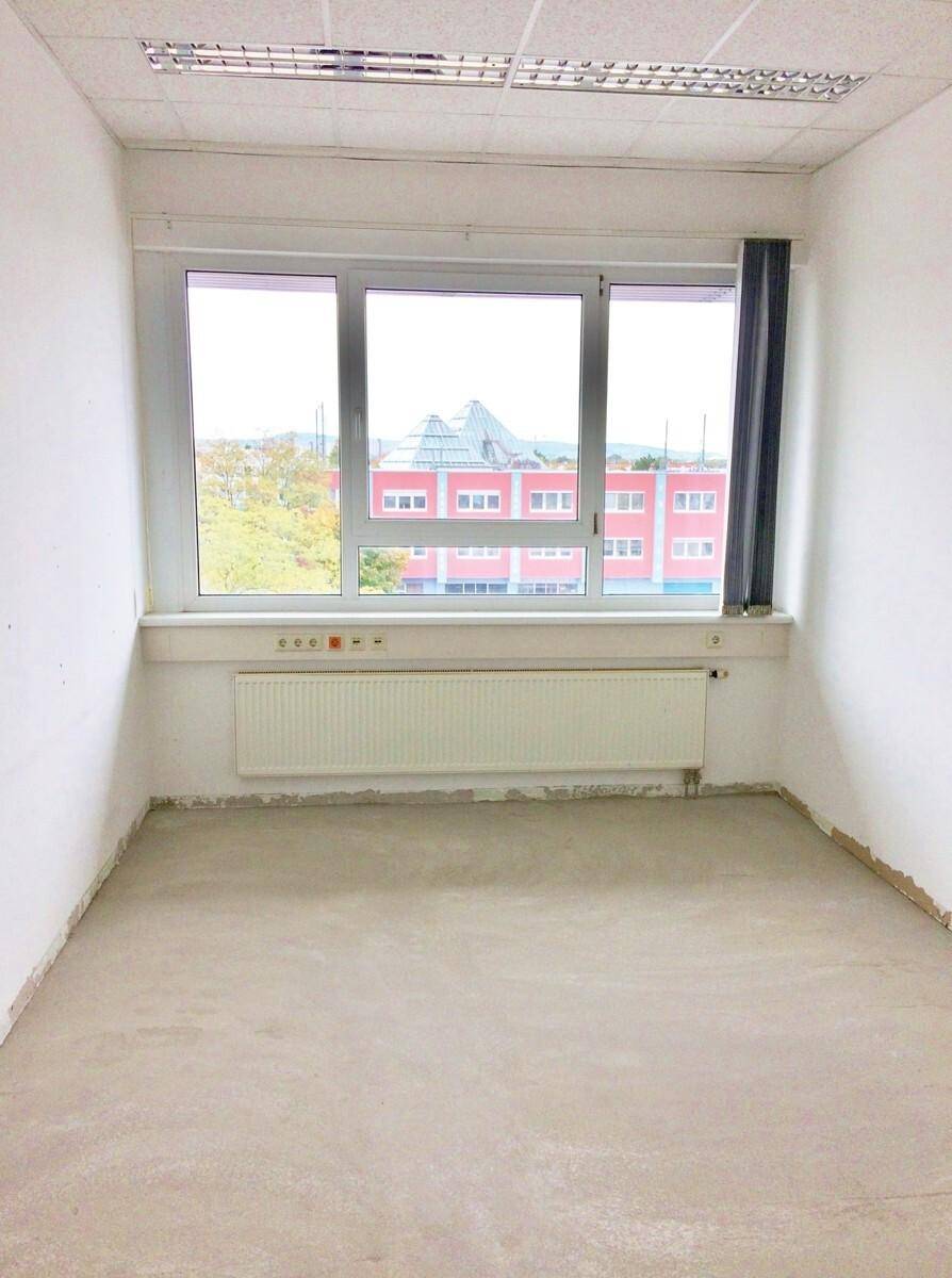 Leerer Raum mit Betonboden, weißen Wänden und einem großen Fenster, das einen Blick nach draußen bietet.