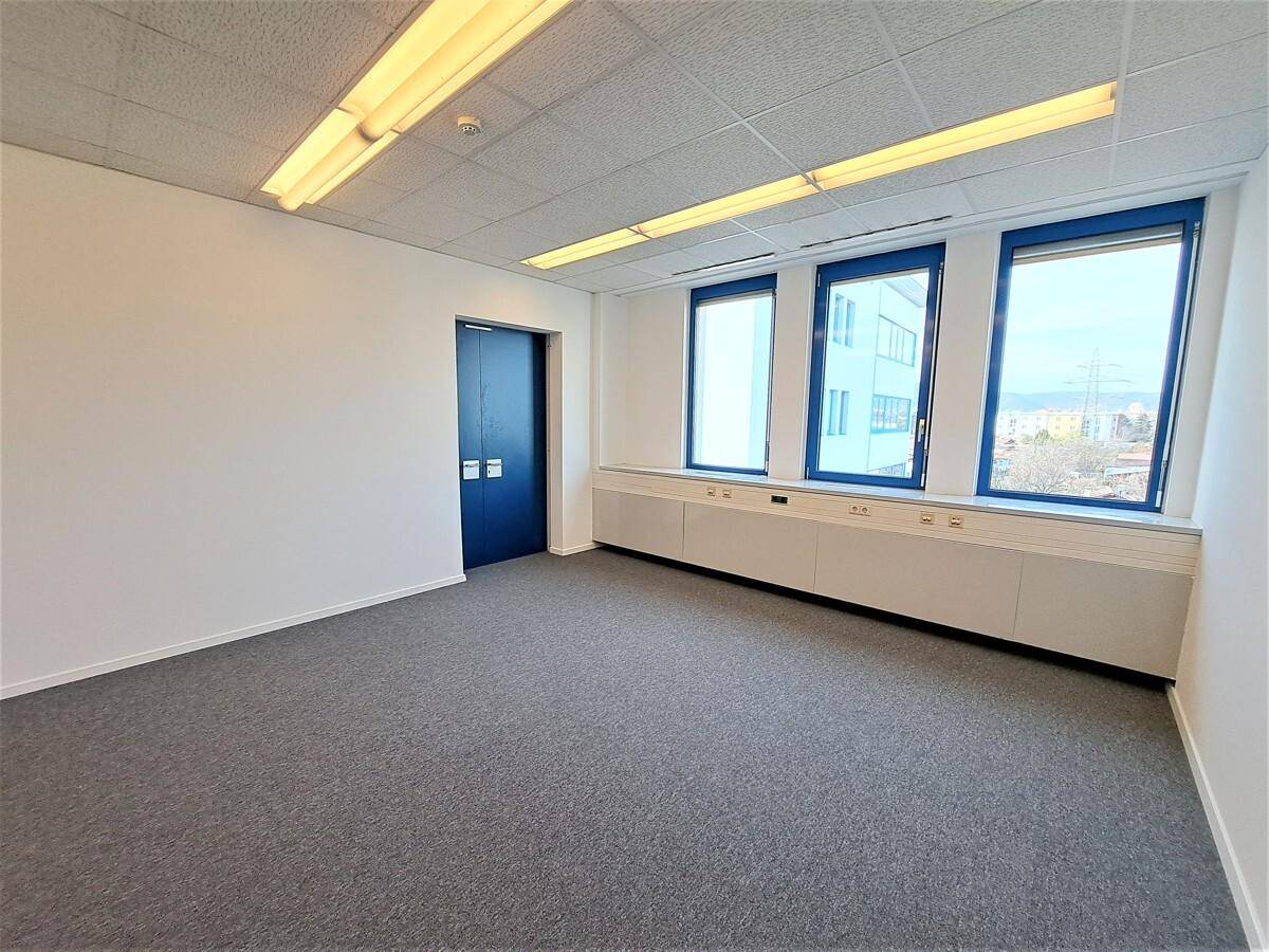 Helles Büro mit Teppichboden, weißen Wänden und drei Fenstern mit blauem Rahmen und Ausblick.