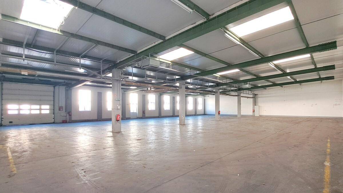 Helle Lagerhalle mit mehreren Fenstern, Oberlichtern und einem großen Rolltor am Ende des Raumes.