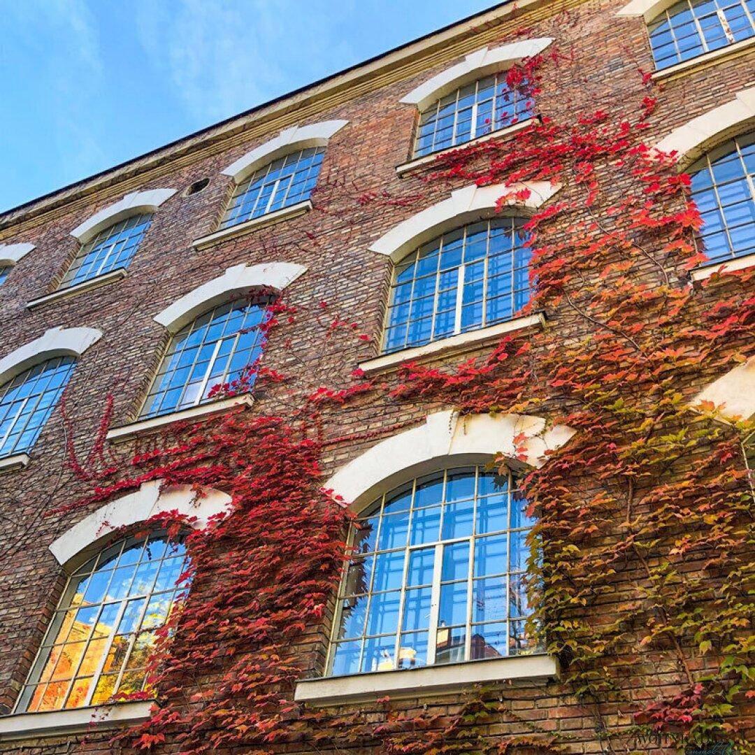 Modernes Loft-Büro in historischer Seidenfabrik – einzigartiger Backsteincharme &amp; hochwertige Ausstattung - Widok 5