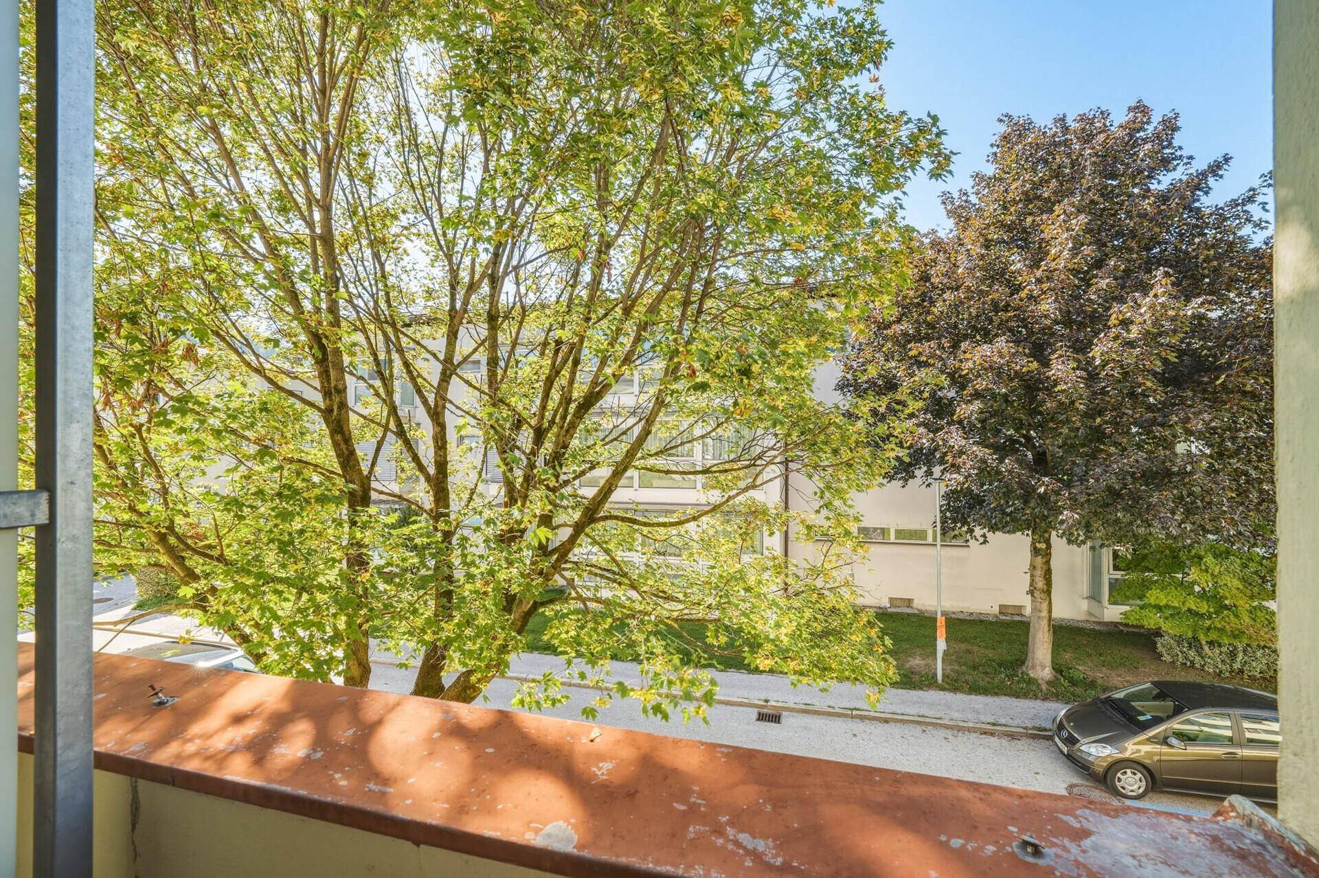 Blick aus dem Fenster auf grüne Bäume und die ruhige Wohnstraße.