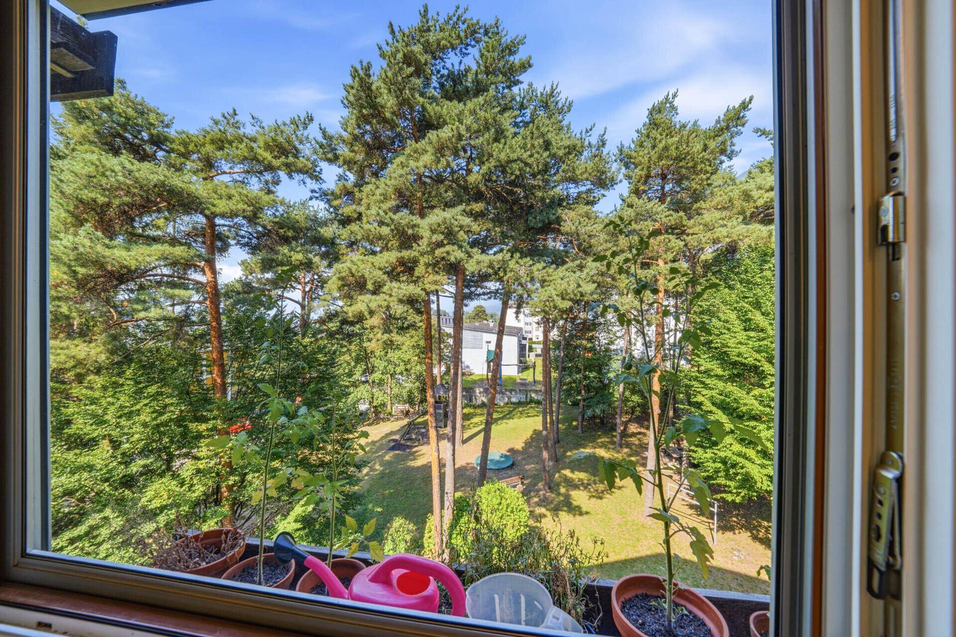 Aussicht Loggia