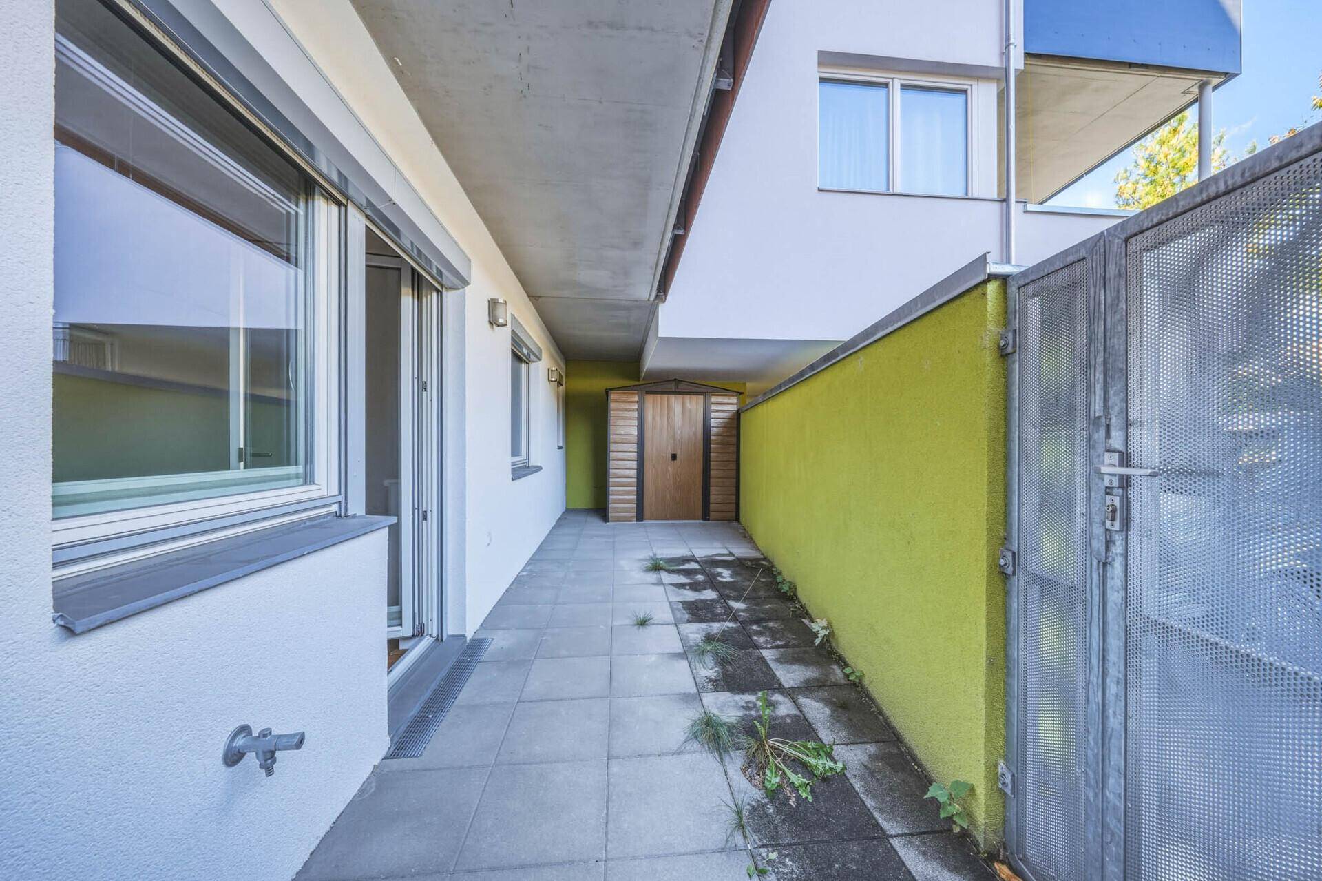 Schmale Terrasse mit grün gestrichener Wand, Gartenhaus und Zugangstür.