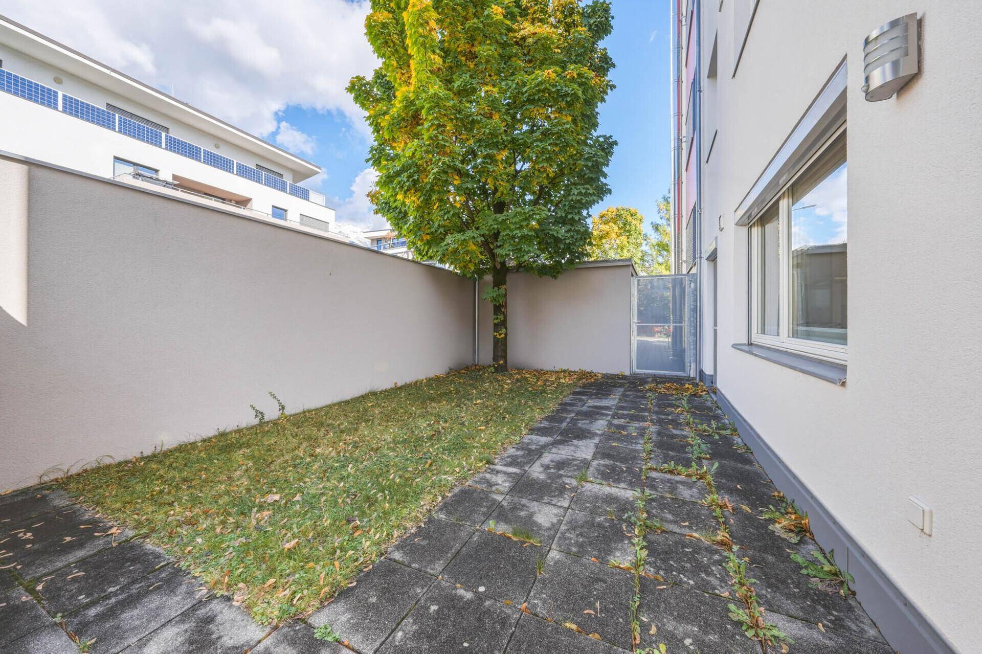 Eingezäunter Gartenbereich mit Rasenfläche, einem Baum und gepflastertem Zugang.