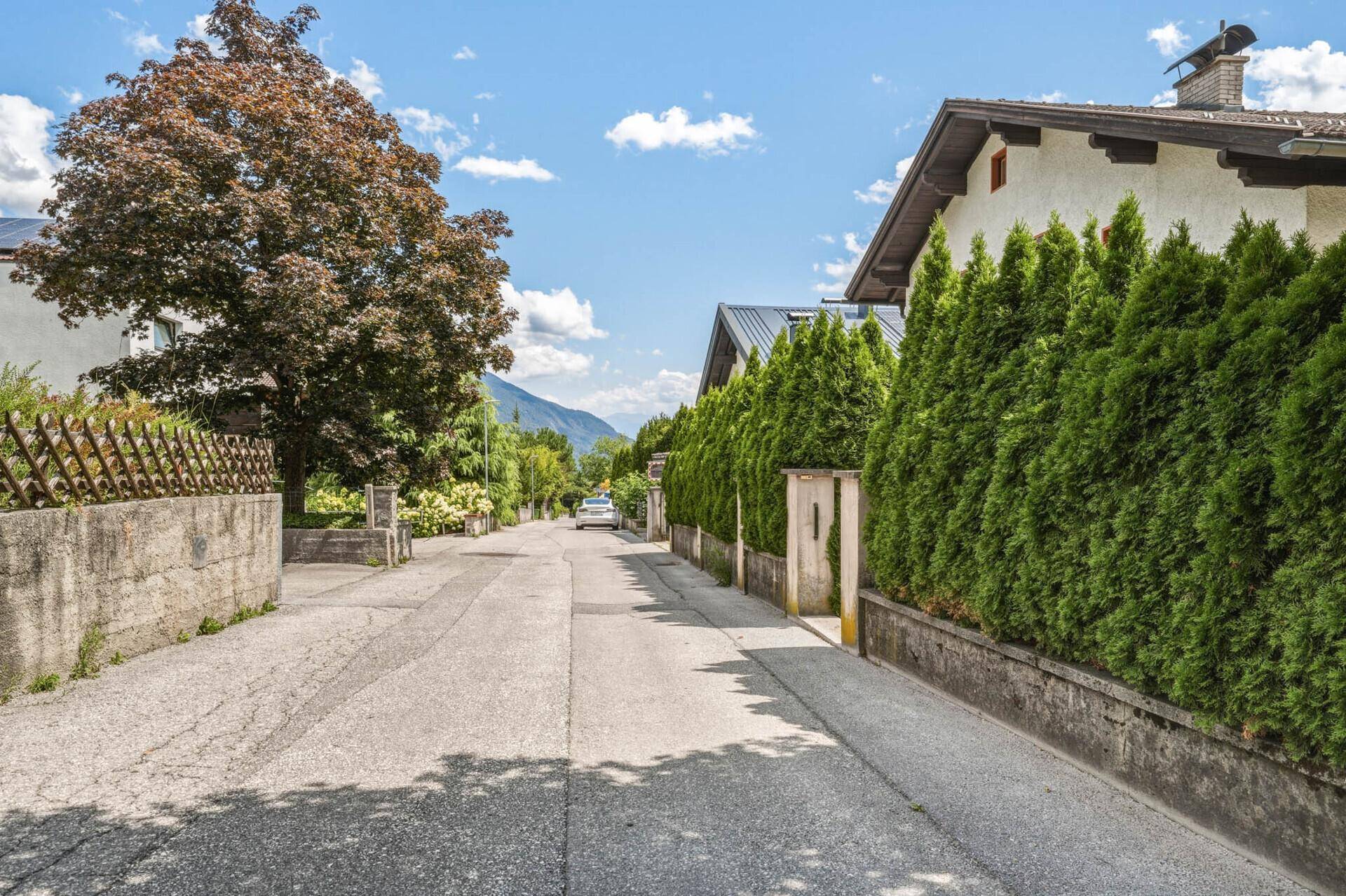 Ruhige Wohnstraße mit Häusern, grünen Hecken und Bäumen unter blauem Himmel.