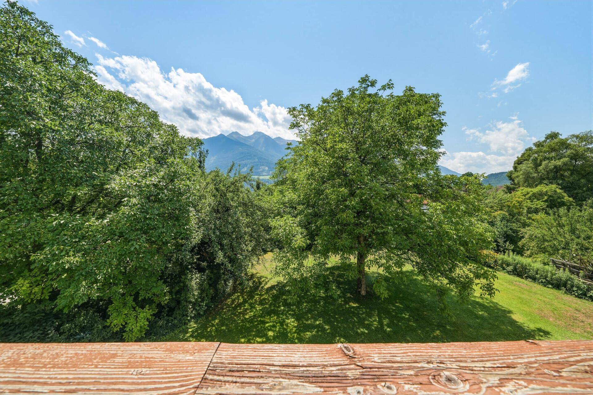 Panoramablick von einem Balkon auf üppige Bäume und die majestätische Bergkette.