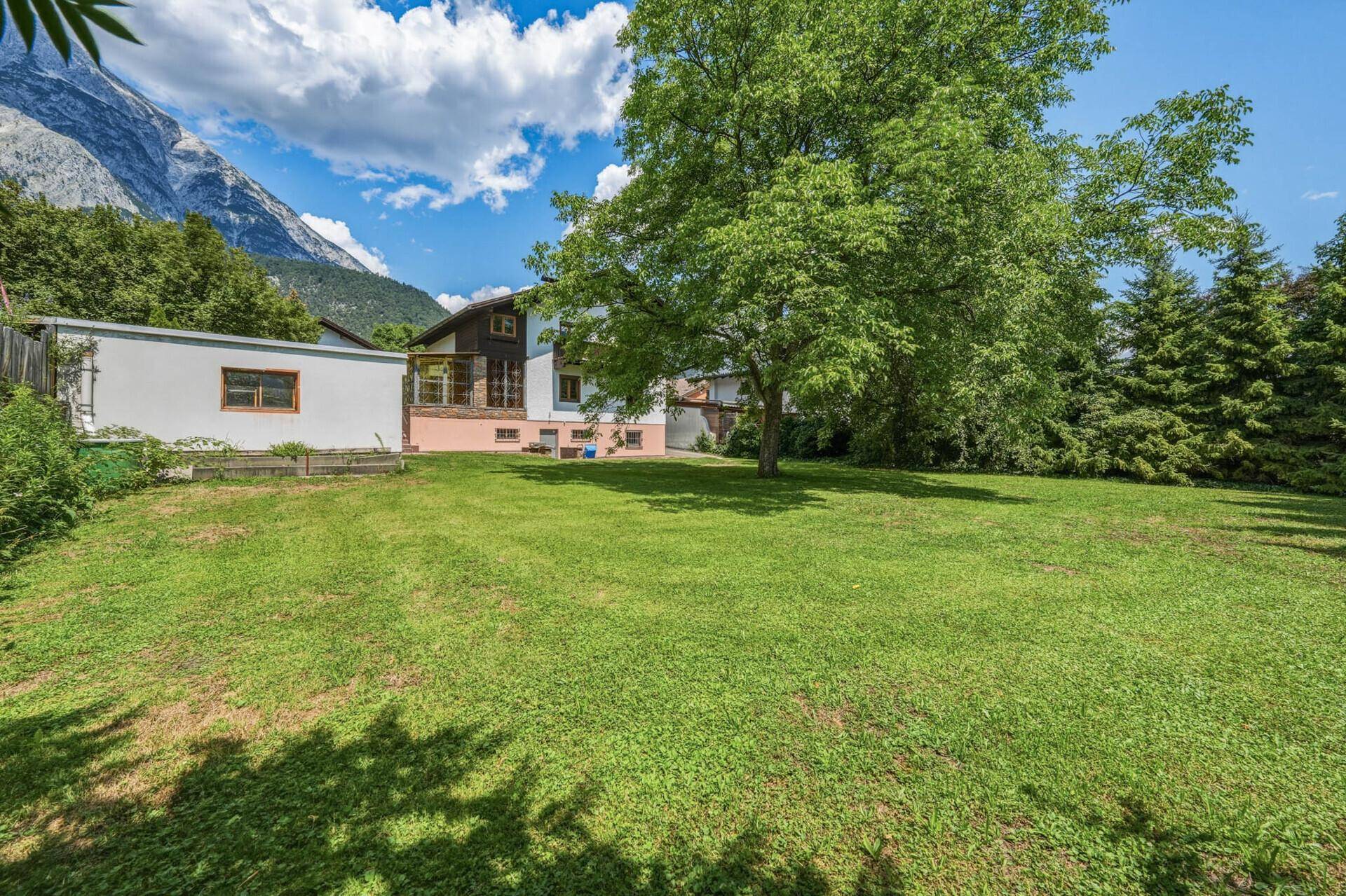 Große Rasenfläche mit altem Baum und dem Haus im Hintergrund, umgeben von Natur.