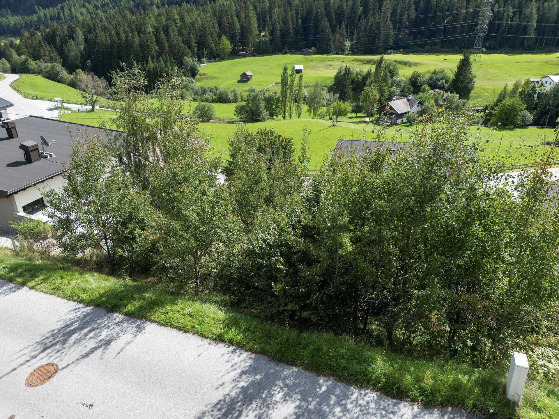 Blick von oben auf eine Straße, Bäume, grüne Wiesen und Häuser vor einer Bergkulisse.