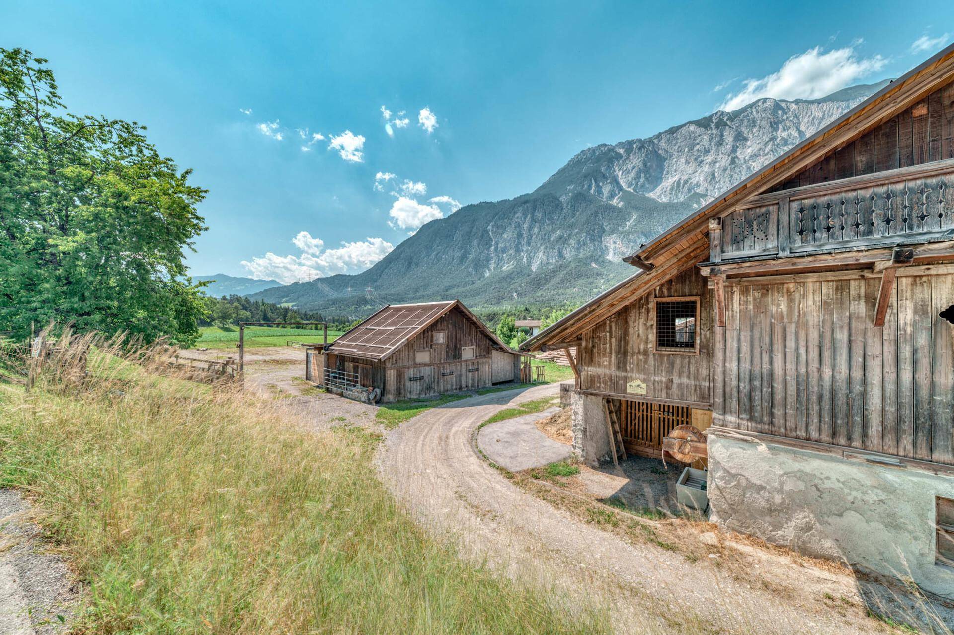 Blick auf Scheune und Reitplatz