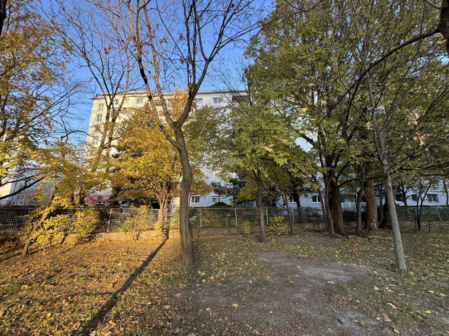 Blick von Forsthauspark zum Gebäude