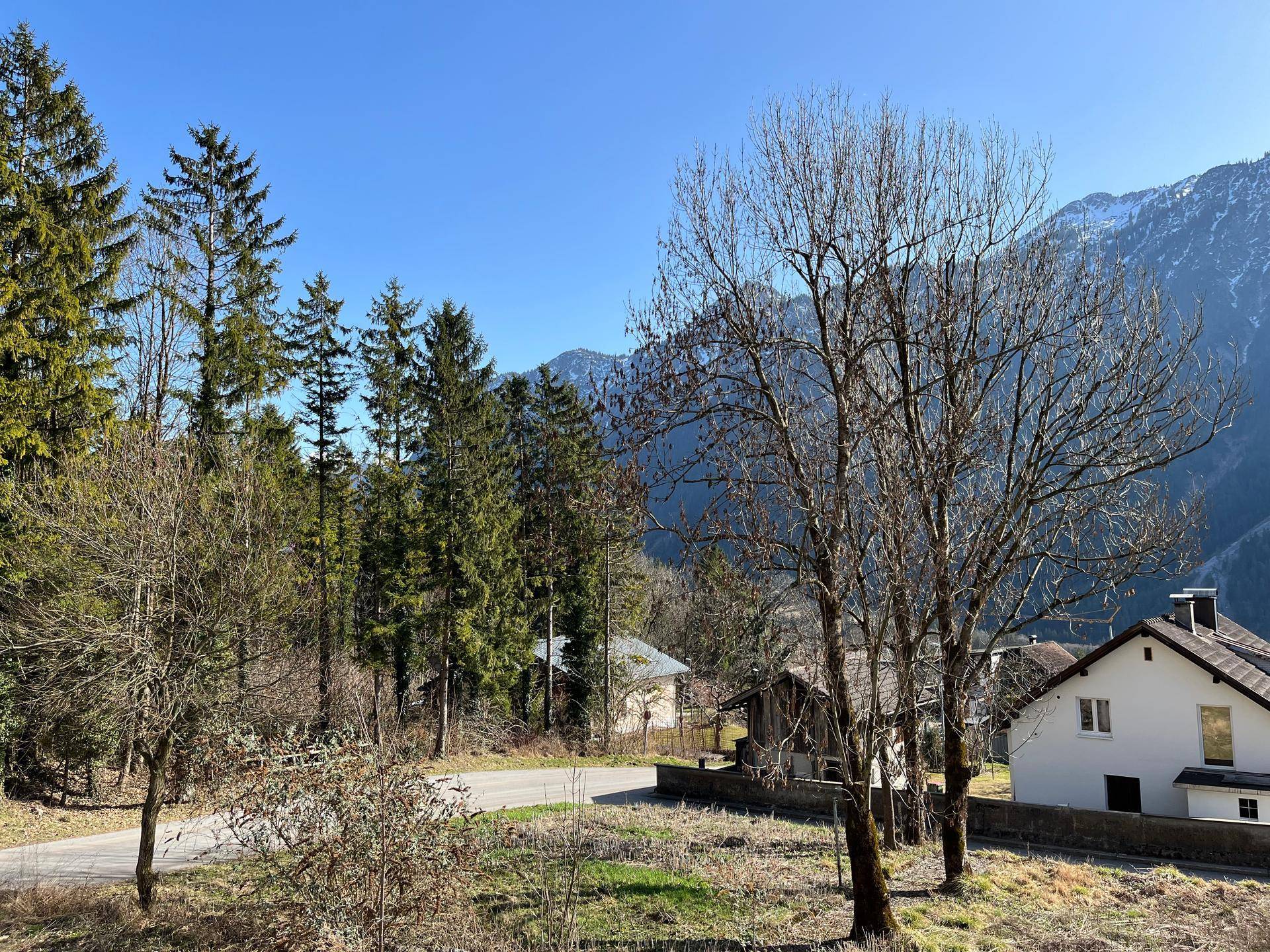 Blick auf die bewaldete Umgebung und benachbarte Häuser unter klarem Himmel.