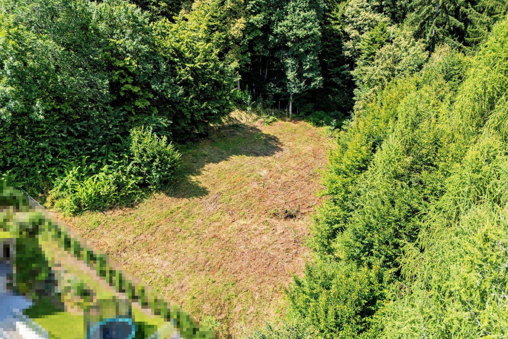 Luftaufnahme eines Waldgrundstücks mit einer Lichtung, angrenzend an eine Wohnsiedlung.