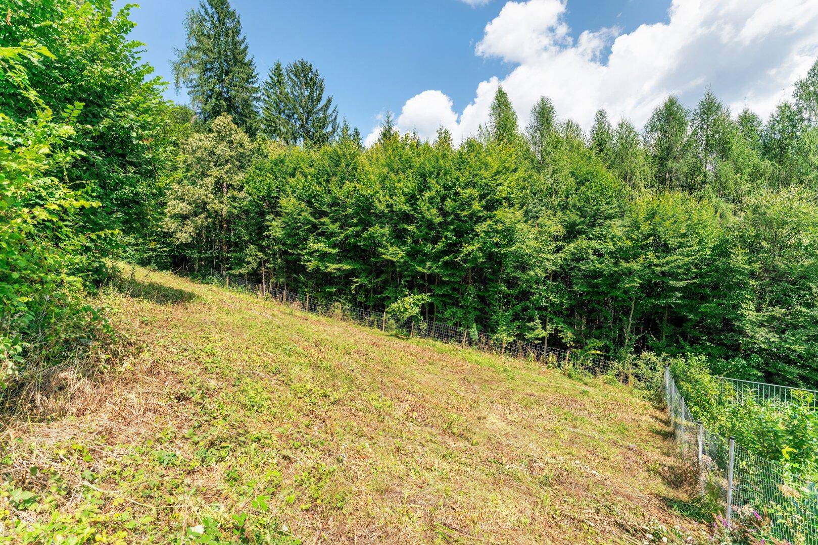 Grünes, leicht abfallendes Grundstück mit Zaun und Waldrand unter blauem Himmel.