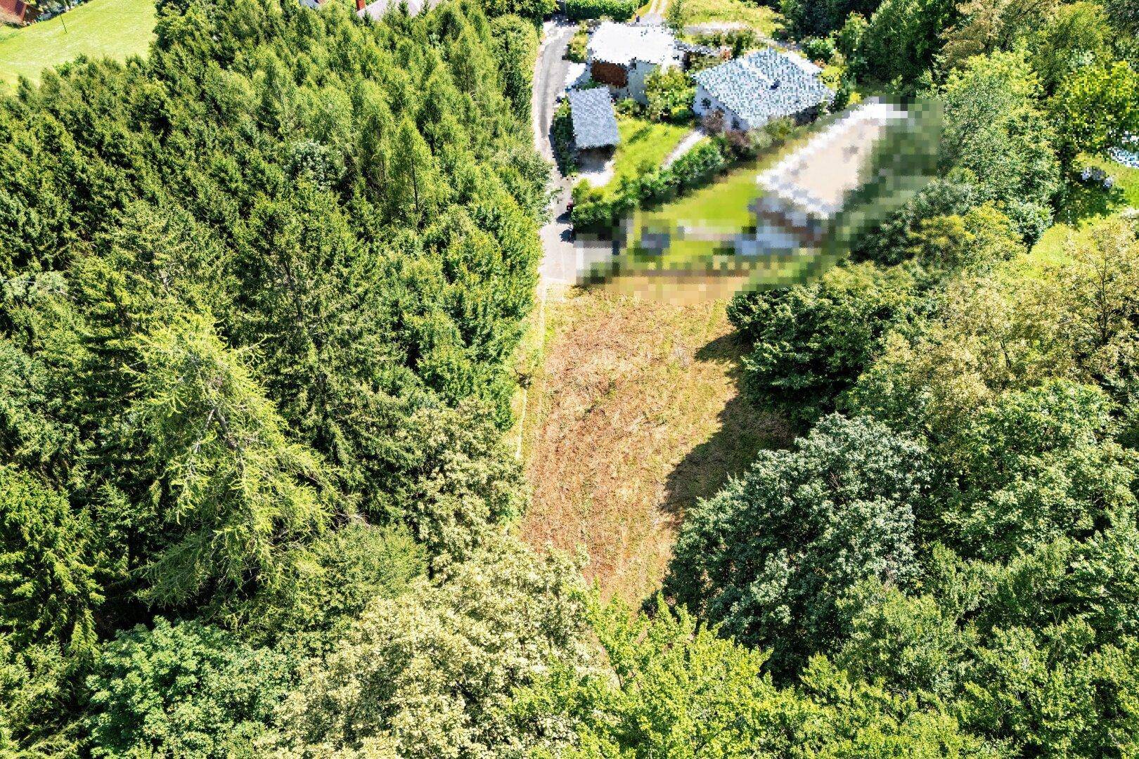 Luftaufnahme eines Grundstücks, umgeben von Wald, mit Häusern im Hintergrund.