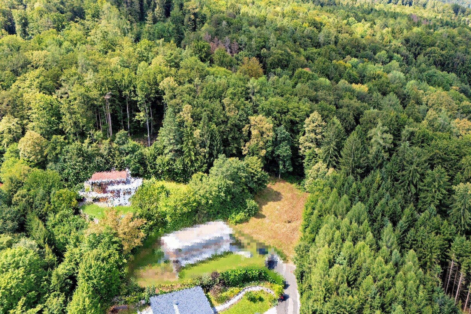 Luftaufnahme eines Grundstücks am Waldrand mit angrenzenden Wohnhäusern.