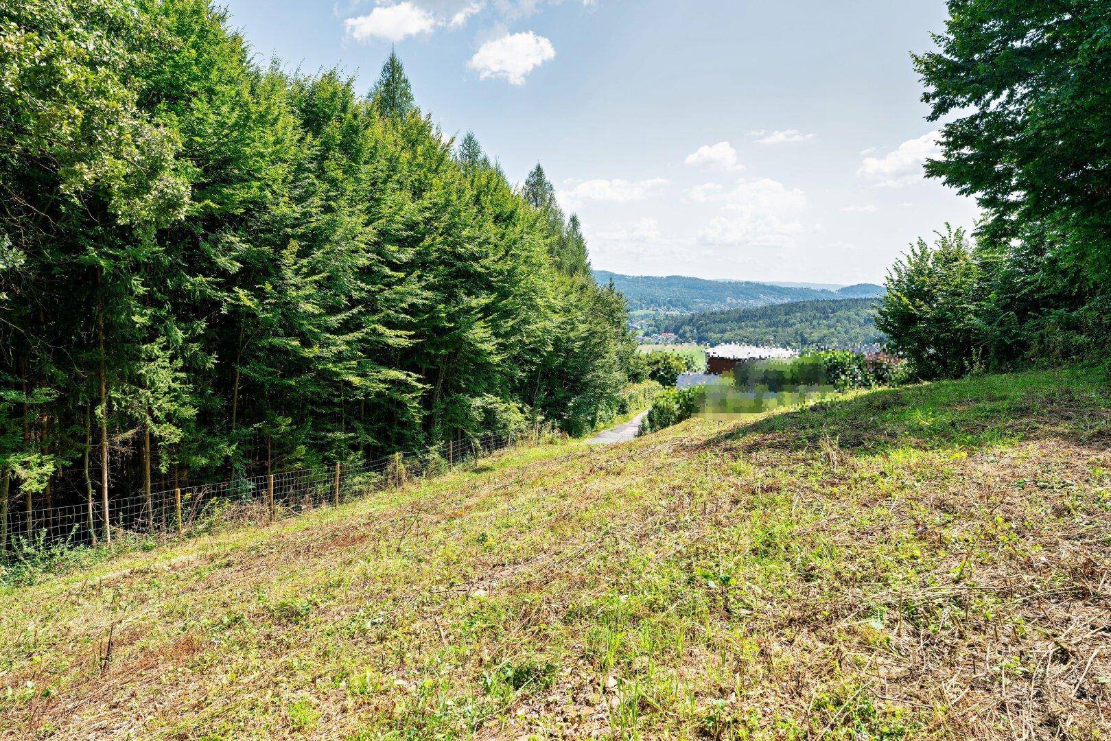 Abfallendes Wiesengrundstück mit Wald auf der linken Seite und Fernblick auf eine Siedlung.