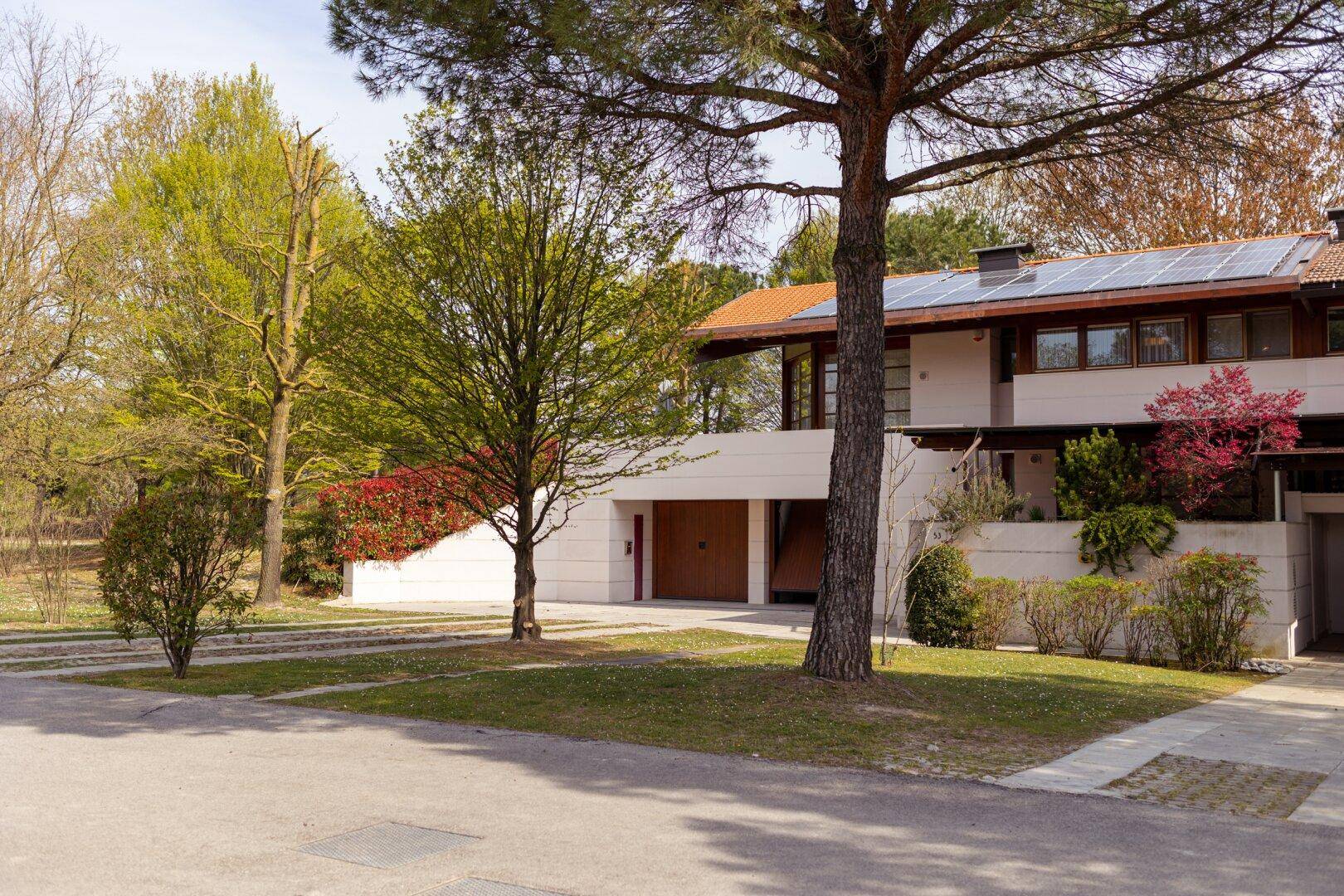 Slide 8