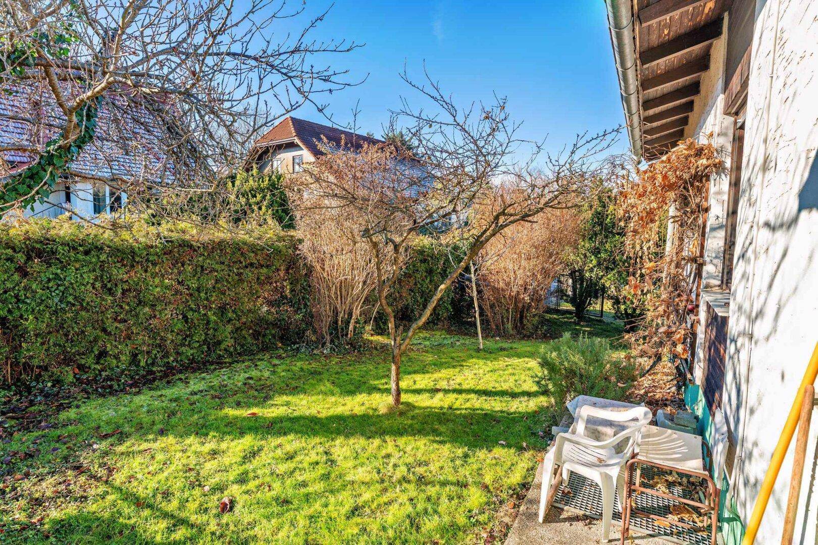 Kleiner Gartenbereich neben dem Haus mit Rasen, Hecke und einfacher Sitzgelegenheit im Freien.