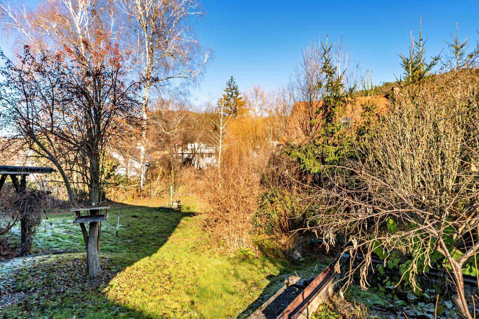 Naturbelassener Garten mit Rasen, Bäumen und einem Vogelhäuschen an einem sonnigen Tag.