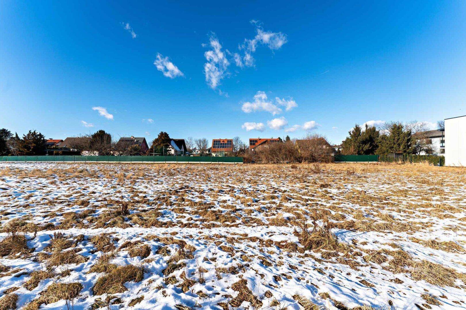 Weites Feld mit Schneeresten und trockener Vegetation, umgeben von Wohnhäusern unter klarem blauem Himmel.