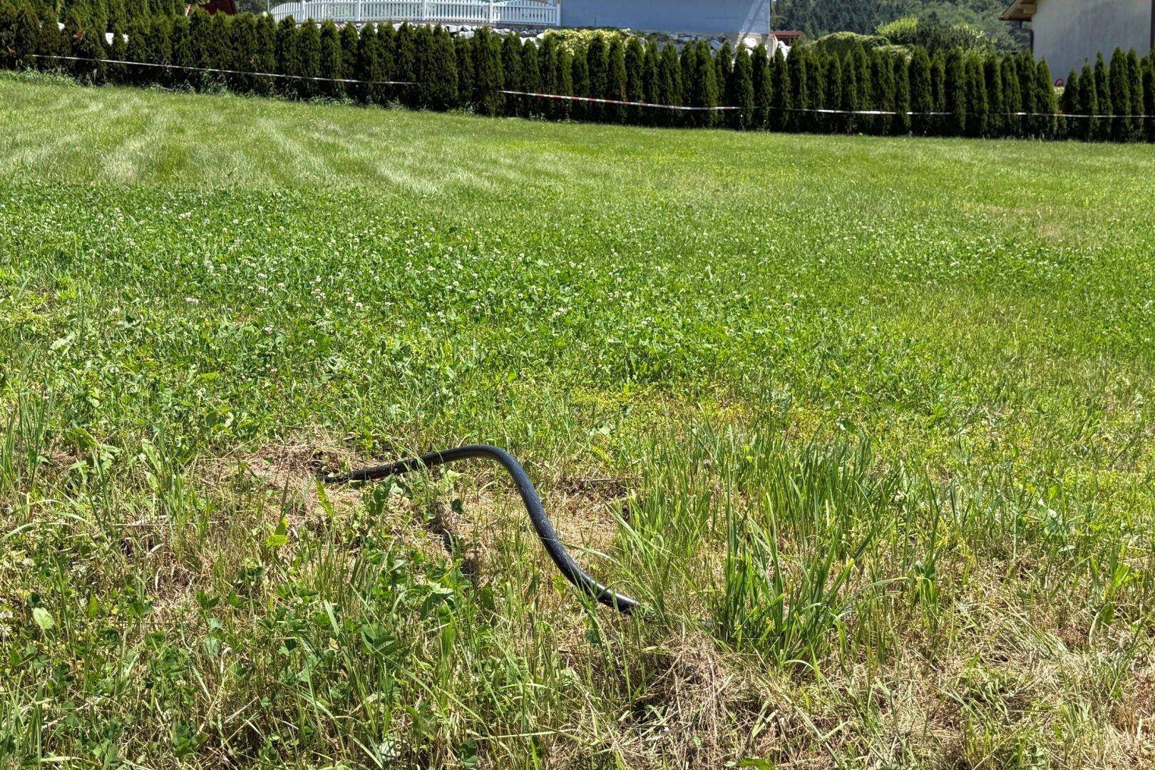 Südwestlich orientiertes Baugrundstück in Ruhelage – 880 m² für Ihr Eigenheim nahe Graz - Mehr