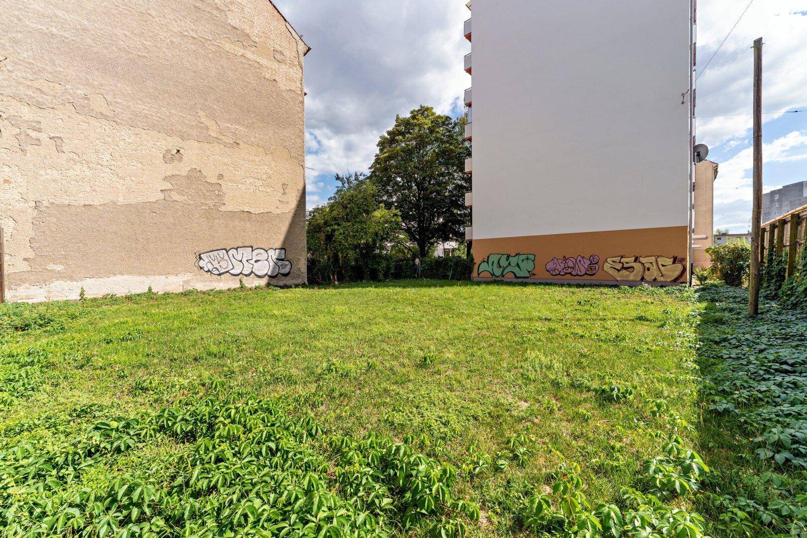 Blick über die Grasfläche des unbebauten Grundstücks, umgeben von Gebäuden mit Graffiti und Bäumen.