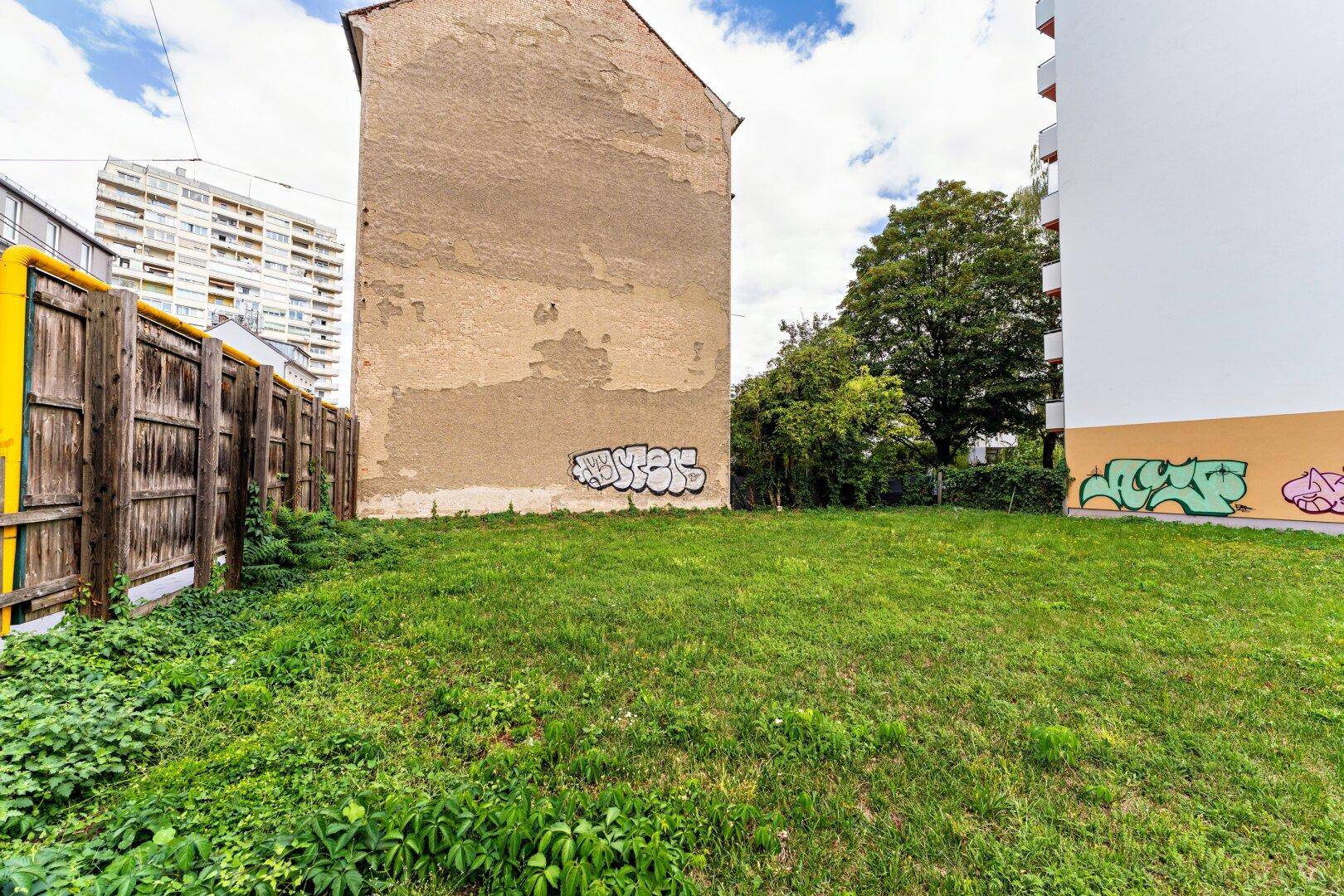 Grüne Grasfläche des unbebauten Grundstücks, begrenzt von einer Gebäudewand mit Graffiti und Bäumen.