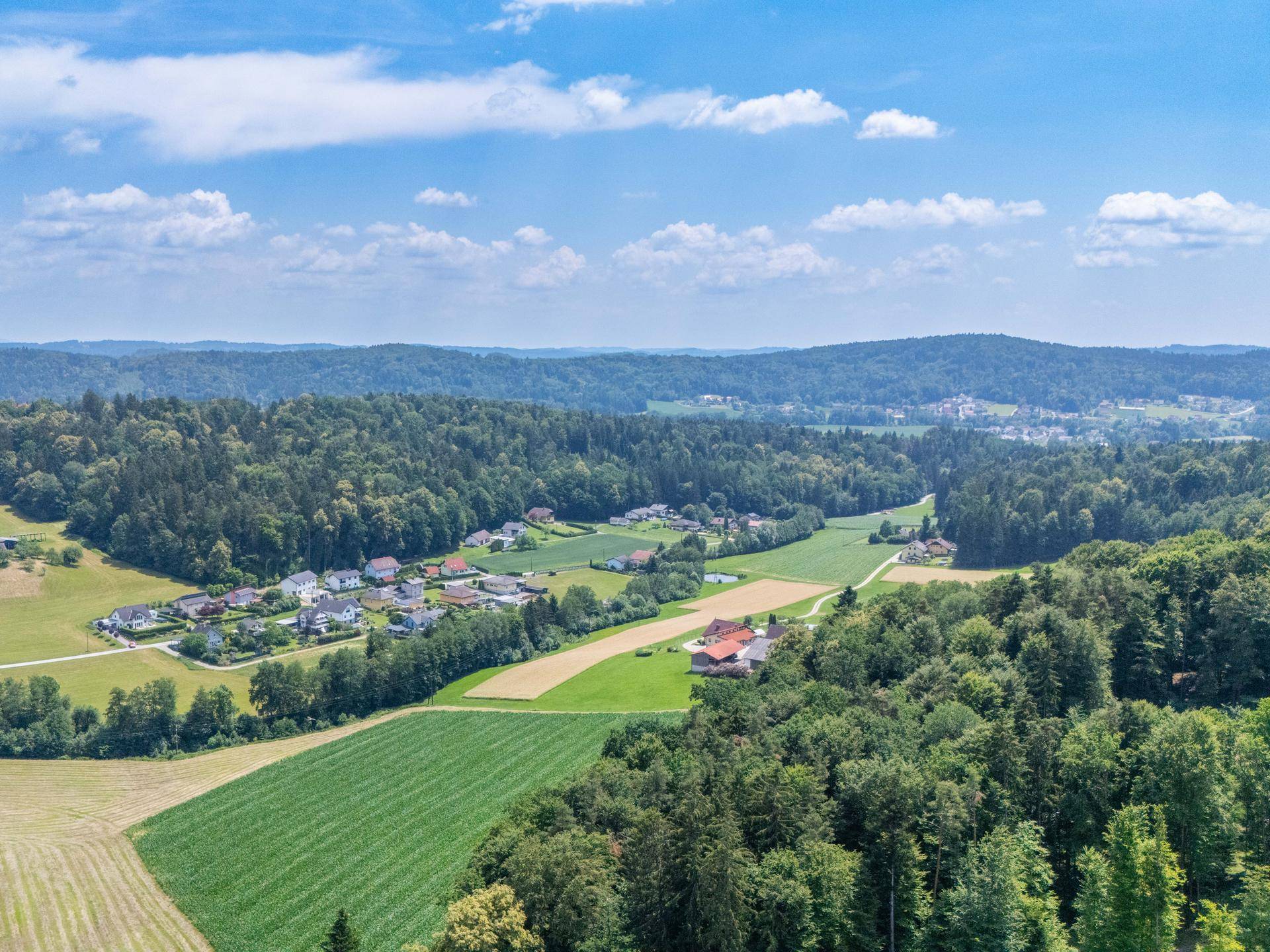 Weitläufige ländliche Landschaft mit verstreuten Häusern, Feldern und dichten Wäldern unter blauem Himmel.