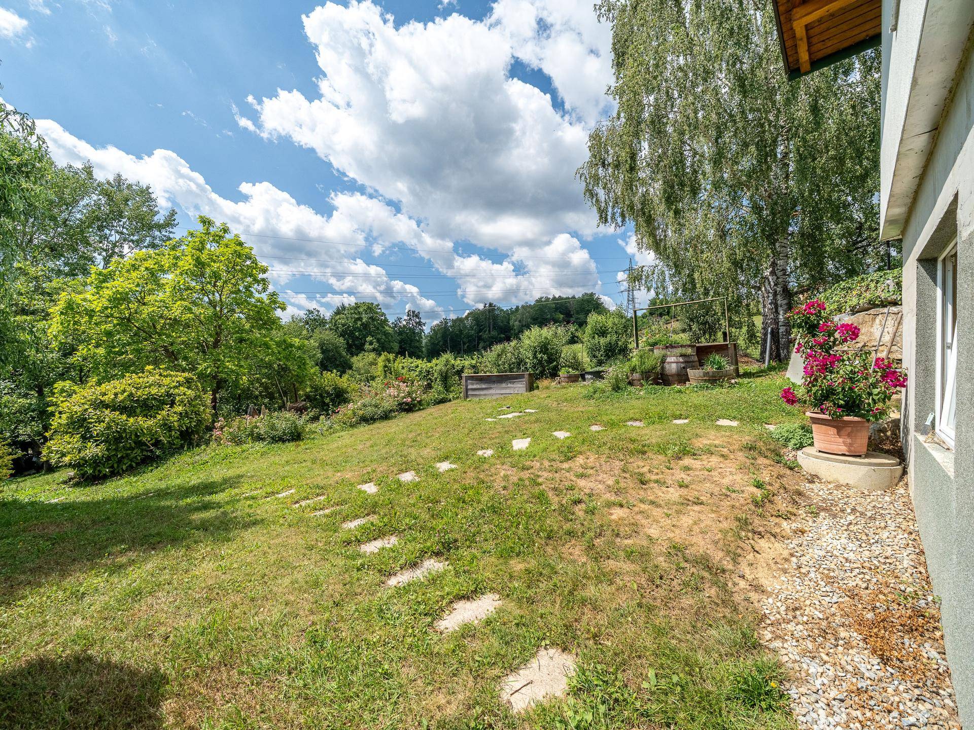 Großer, sonniger Gartenbereich mit Rasenfläche und Trittsteinen, umgeben von üppigem Grün.