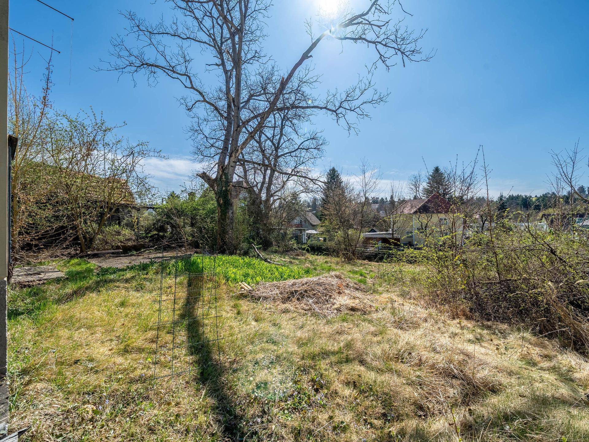 Weitläufiger Gartenbereich mit hohem Gras und altem Baumbestand unter blauem Himmel.