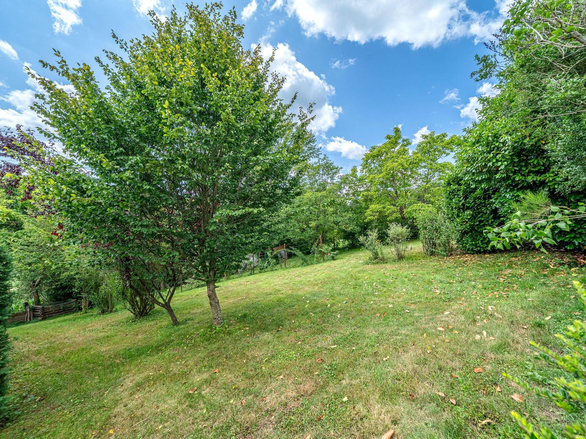 Weitläufiger, grüner Garten mit verschiedenen Bäumen und Sträuchern unter einem bewölkten Himmel.