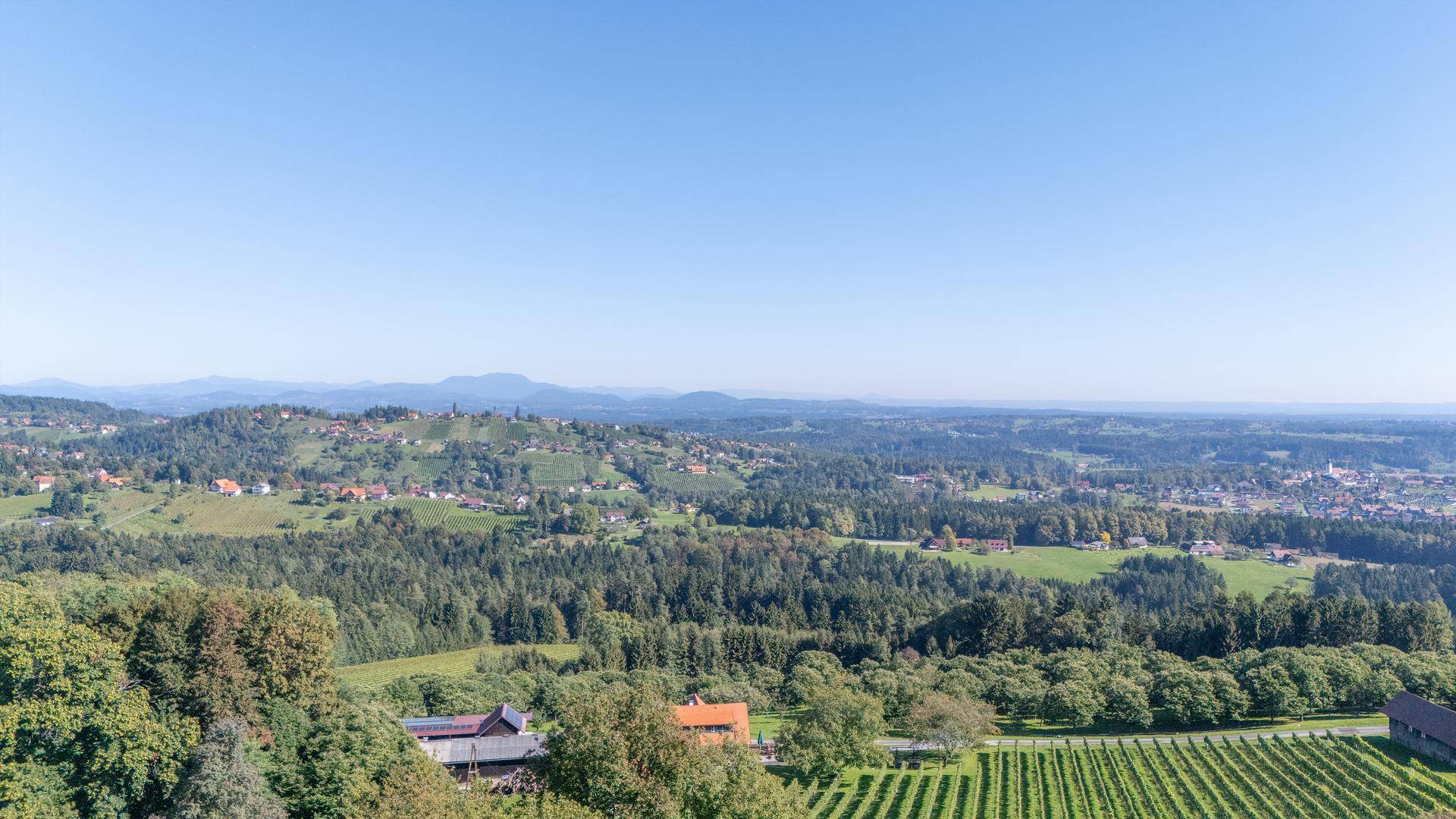 Weitläufige Landschaft mit Weinbergen, Wäldern und kleinen Siedlungen unter klarem Himmel.