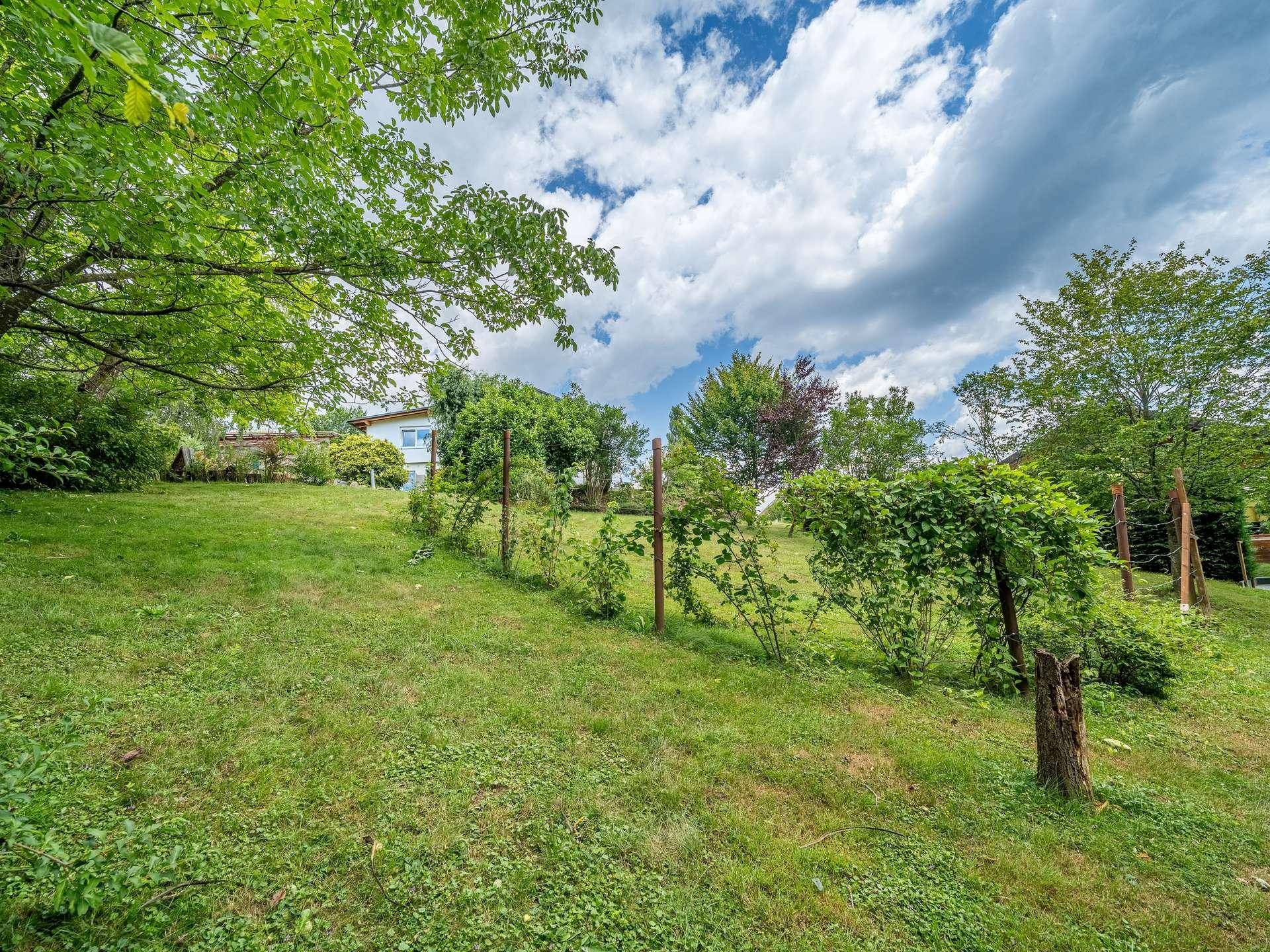 Grüner Gartenbereich mit jungen Pflanzen und einem Haus im Hintergrund, unter einem weiten blauen Himmel.