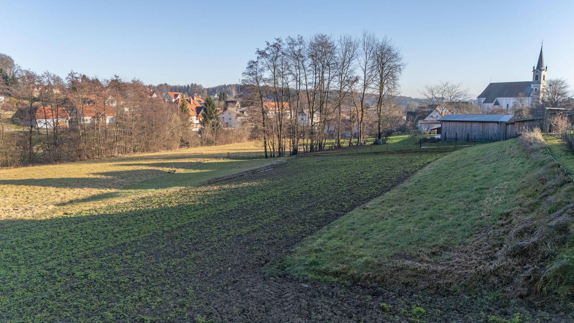 Weitläufige Felder mit Bäumen im Vordergrund und einem Dorf mit Kirche am Horizont unter strahlendem Sonnenschein.