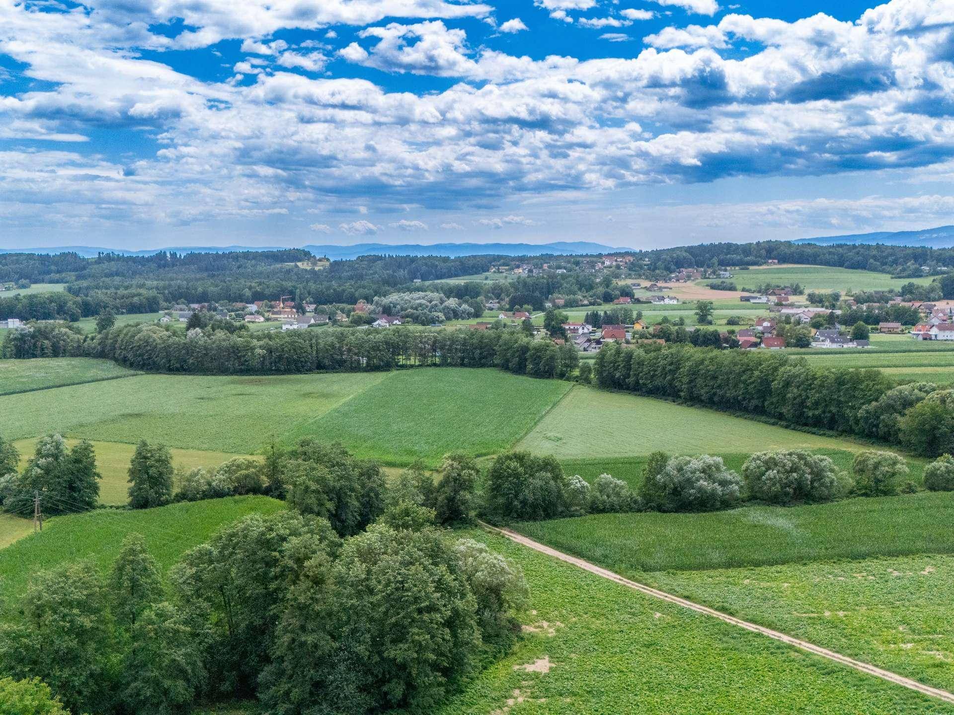 Weitläufige Landschaftsaufnahme mit grünen Feldern, Bäumen und Häusern in der Ferne.