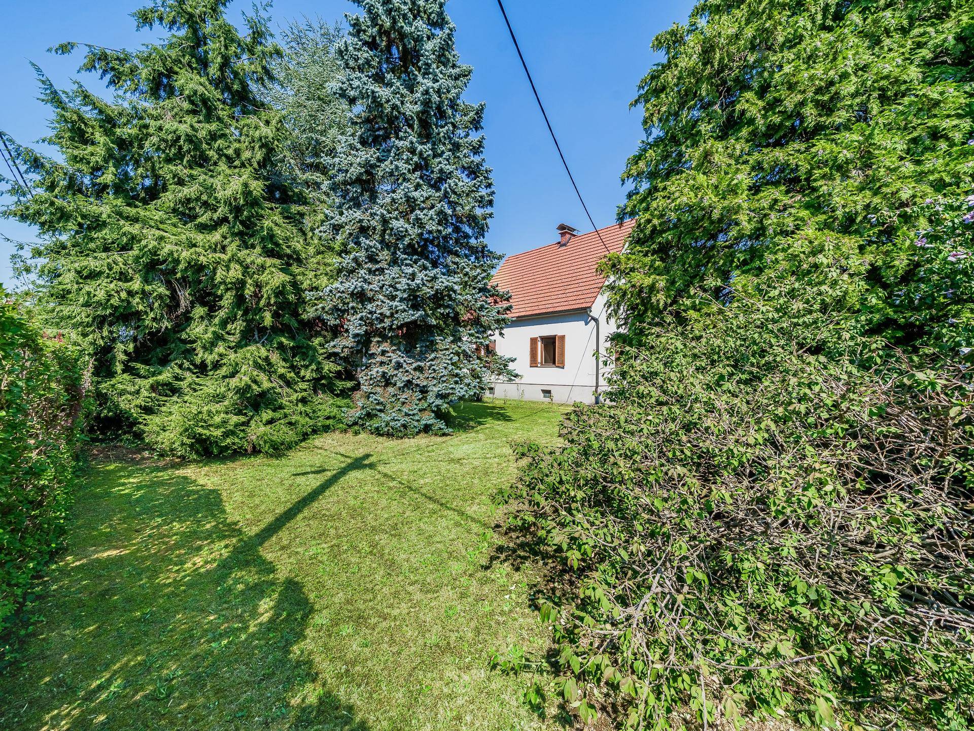 Großer Garten mit hohen Nadelbäumen und viel Grün rund um das Wohnhaus.