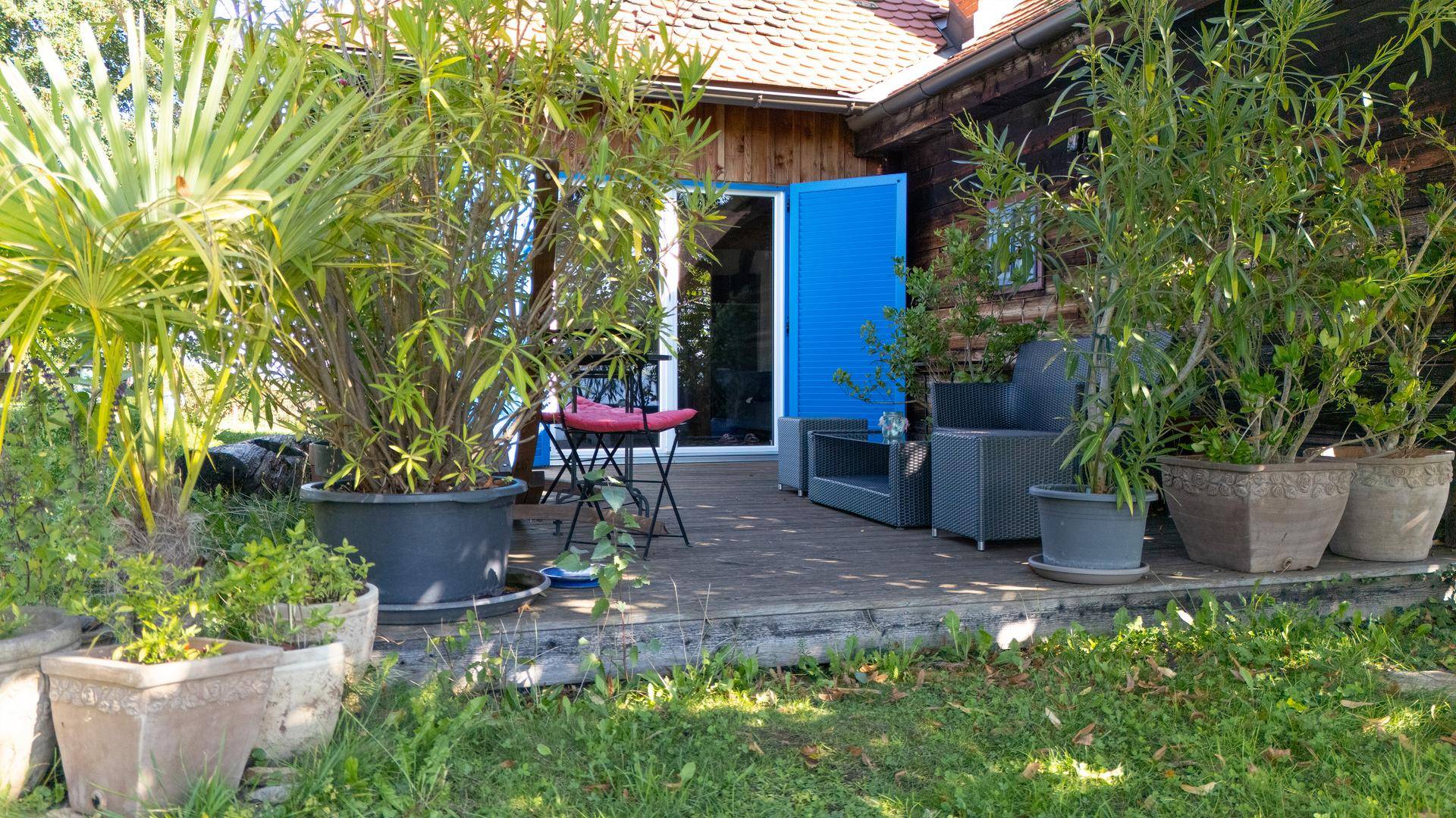 Gartenbereich mit vielen Topfpflanzen und direktem Zugang zur Holzterrasse.