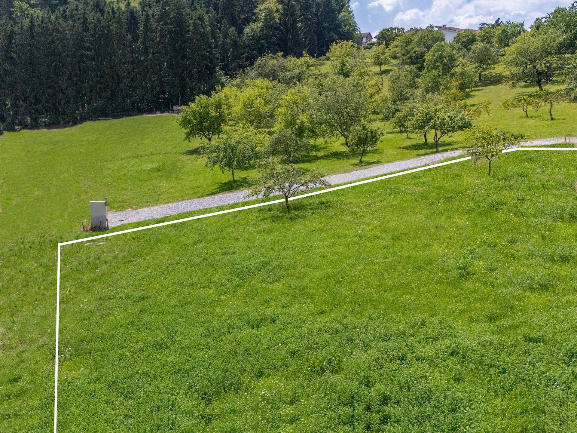 Luftaufnahme eines weitläufigen grünen Grundstücks mit markierten Grenzen und einem Feldweg.