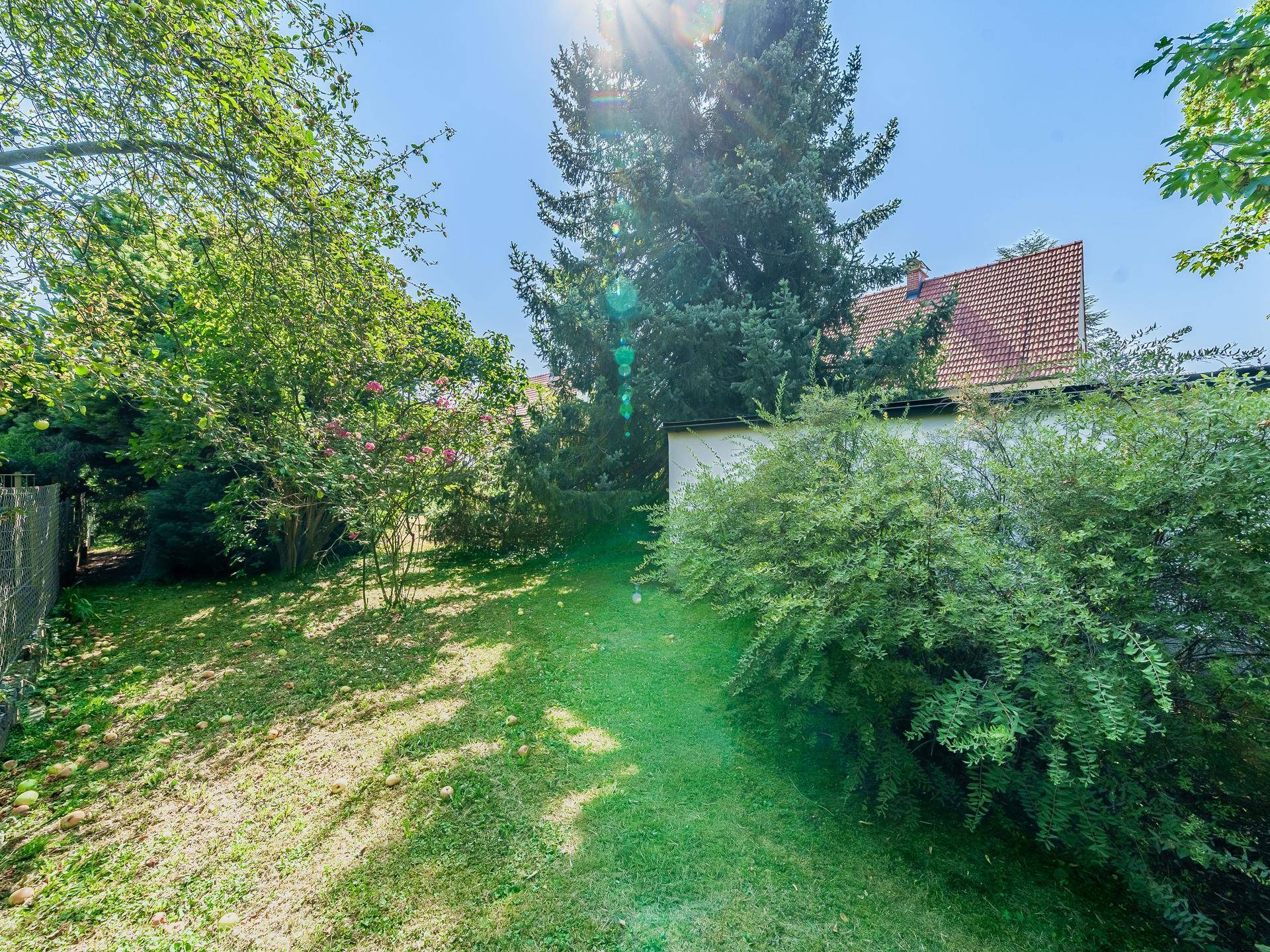 Sonniger Gartenbereich mit leicht abfallender Rasenfläche und altem Baumbestand.