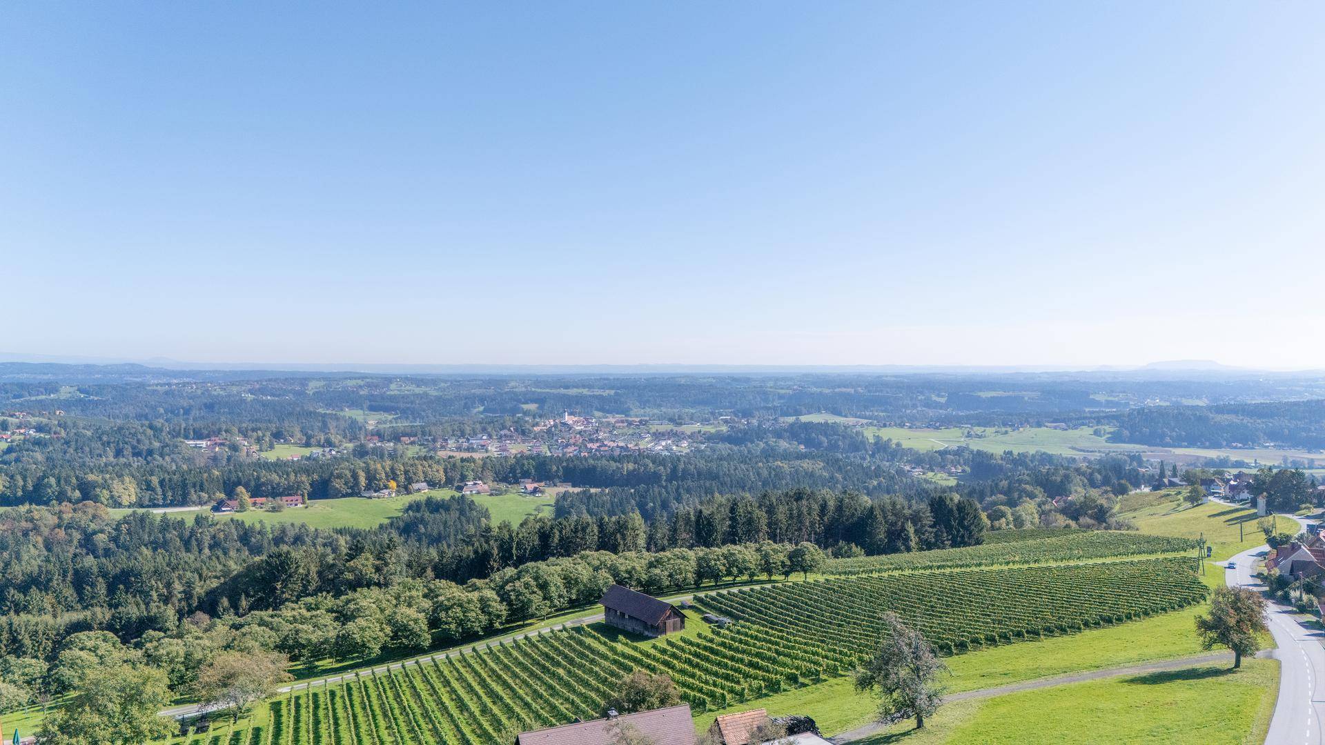 Weitläufige Landschaft mit Weinbergen, Wäldern und kleinen Siedlungen unter klarem Himmel.