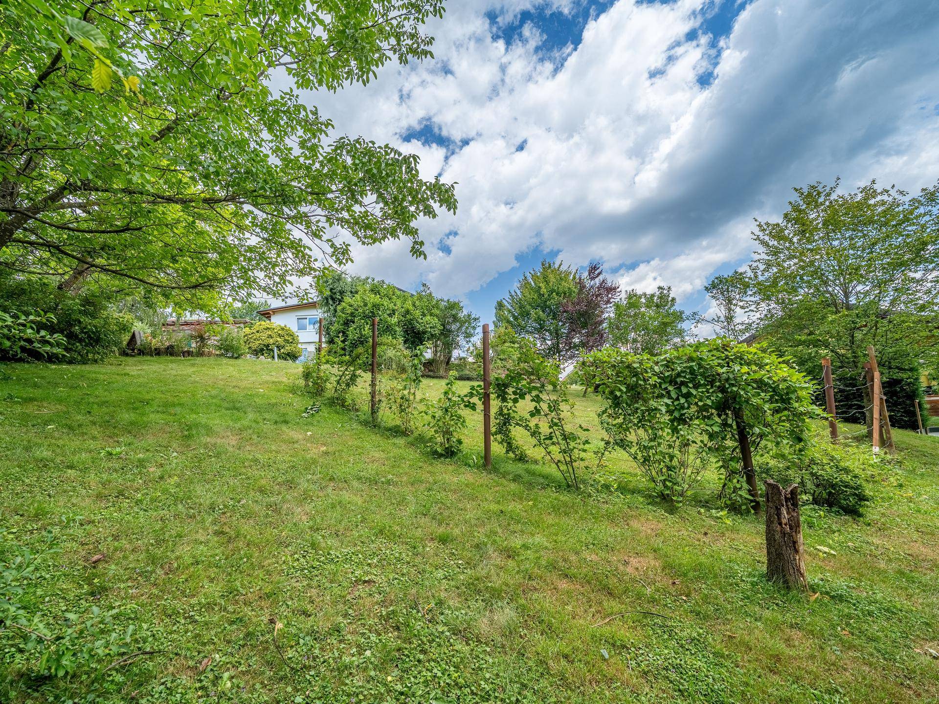 Hanglage im Garten mit üppiger Vegetation und Blick auf ein entferntes Wohnhaus.
