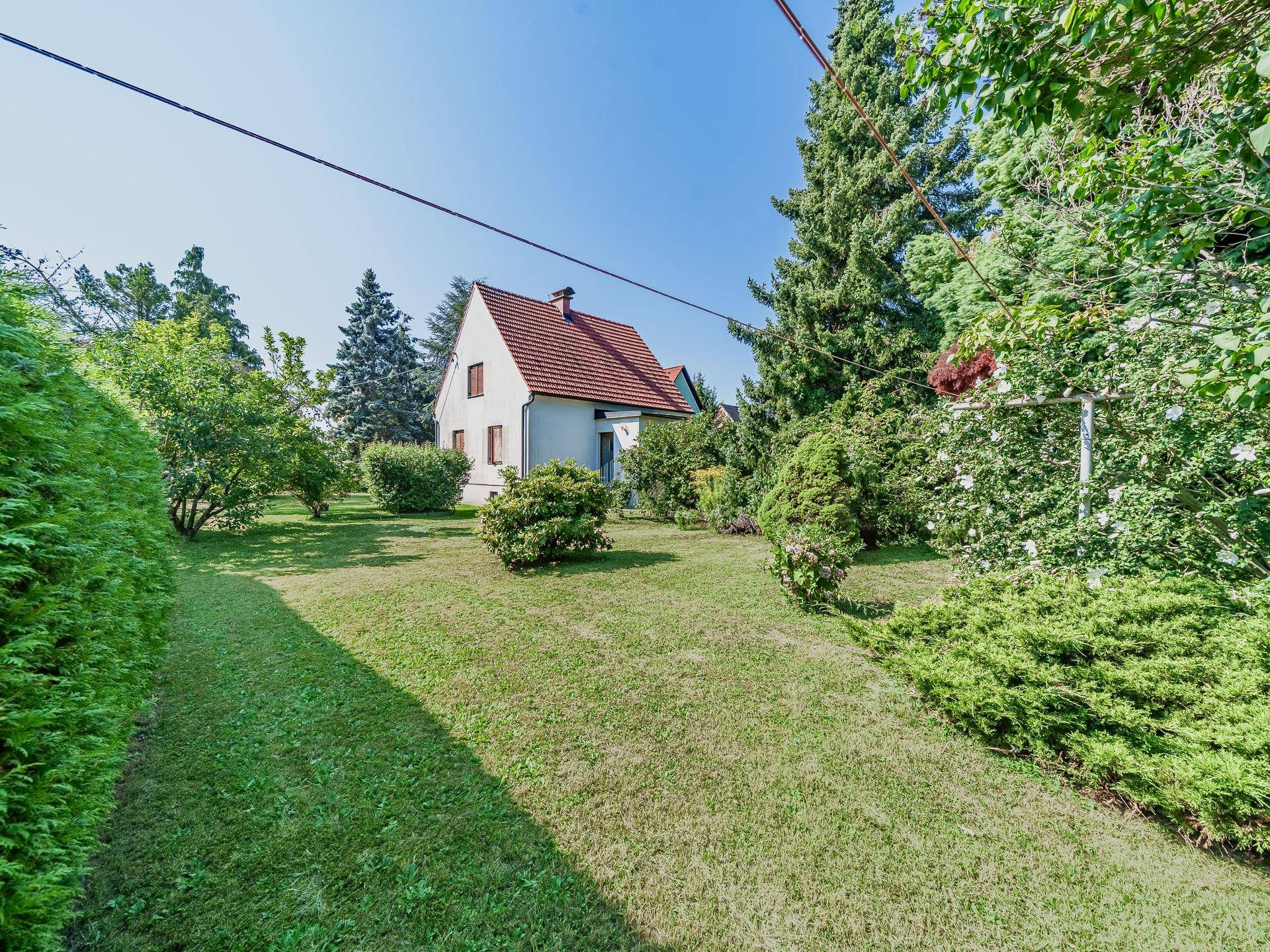 Gepflegter Gartenbereich mit Rasenfläche und üppiger Bepflanzung vor dem Einfamilienhaus.