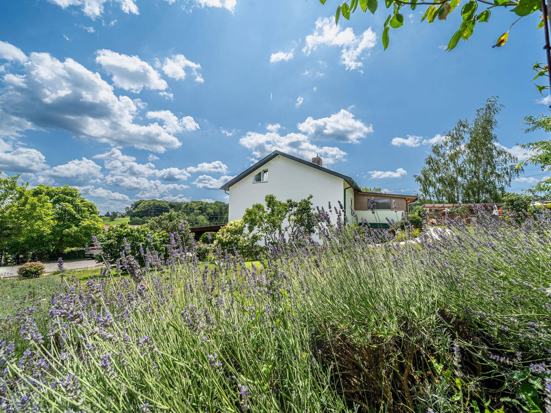 Hausansicht von einem blühenden Lavendelfeld aus, mit weitem Blick in die grüne Landschaft.